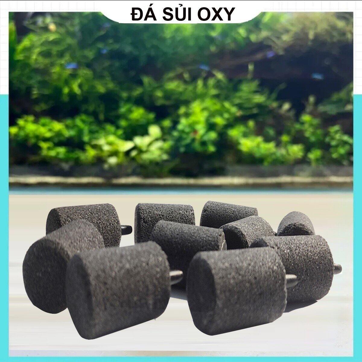 Đầu sủi oxy siêu mịn | đá sủi oxy siêu mịn cho hồ cá cảnh thủy sinh