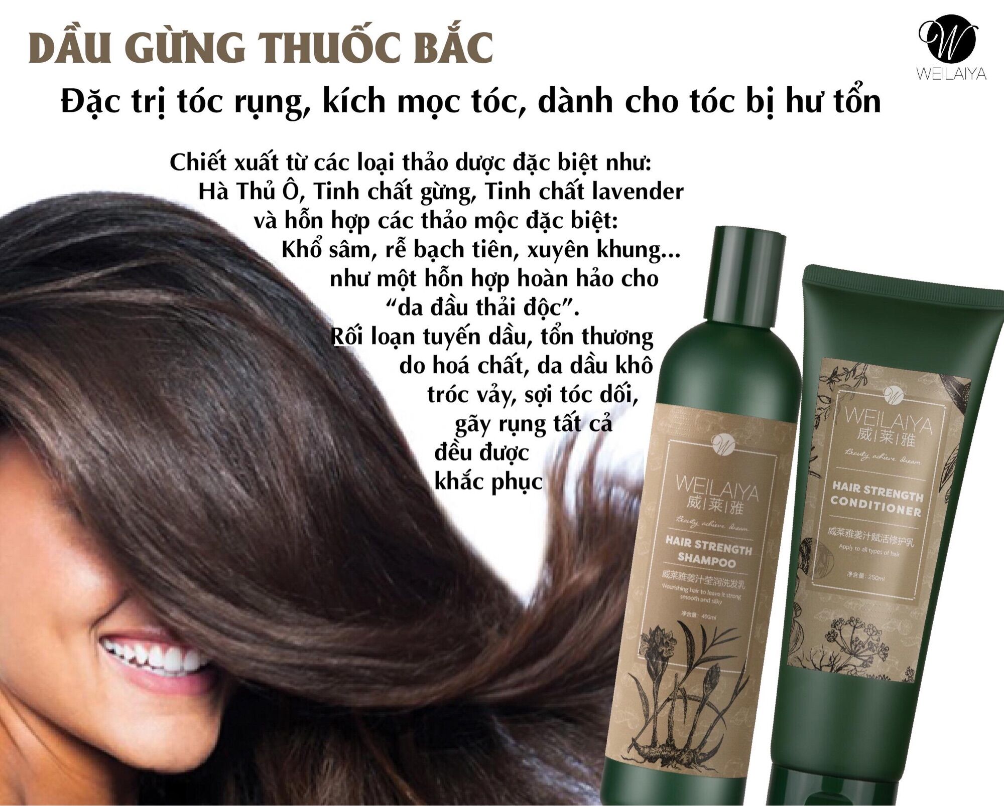 dầu gội gừng hà thủ ô