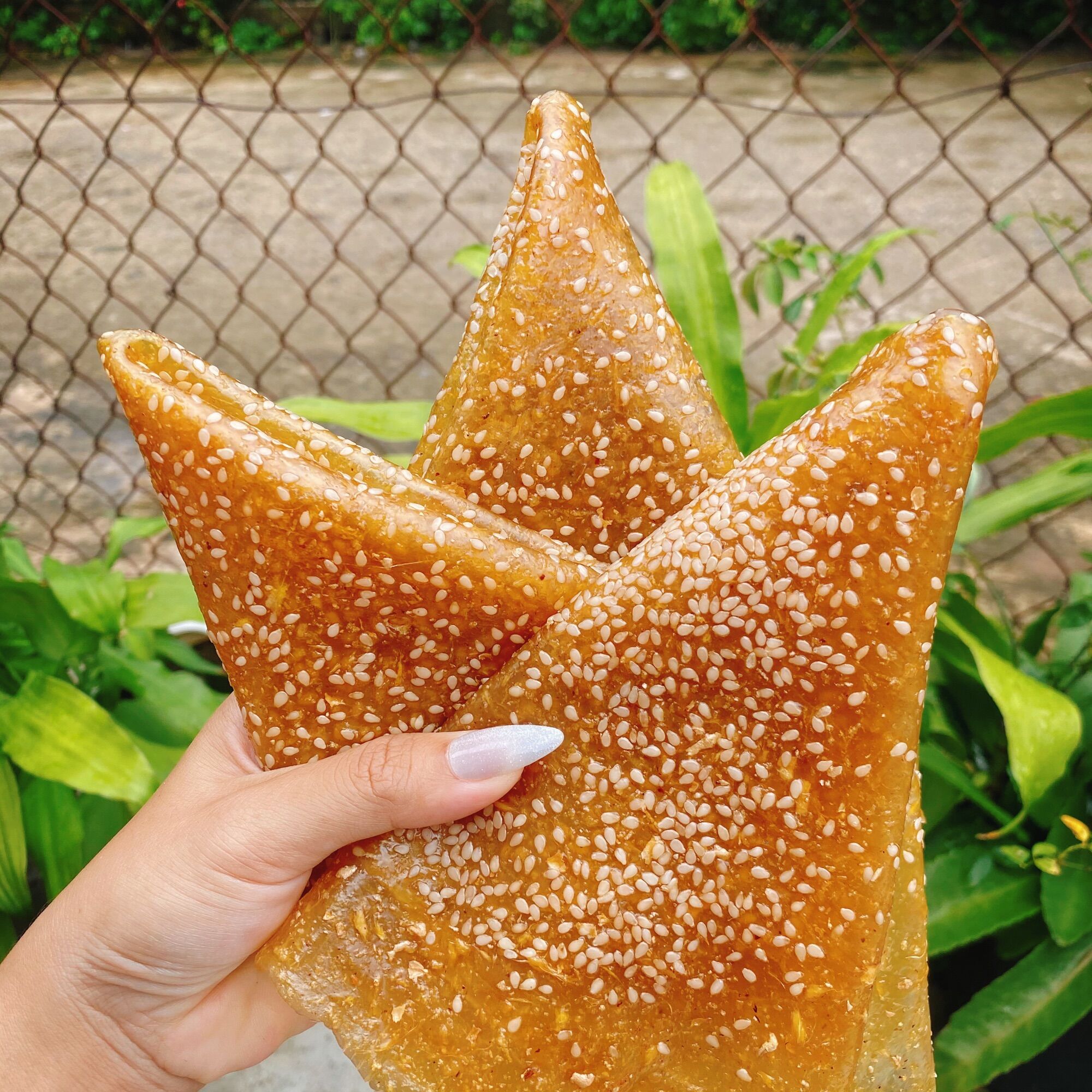 Bánh Tráng sỉ