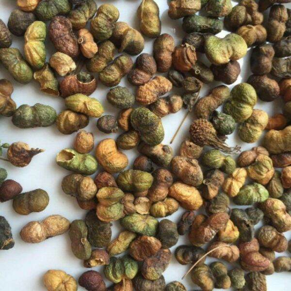 500g hạt tam thất