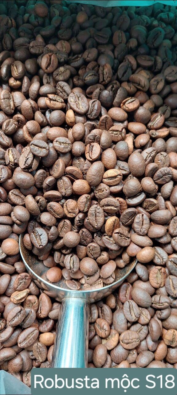 5kg Cafe Robusta nguyên chất Ban Mê Thuột