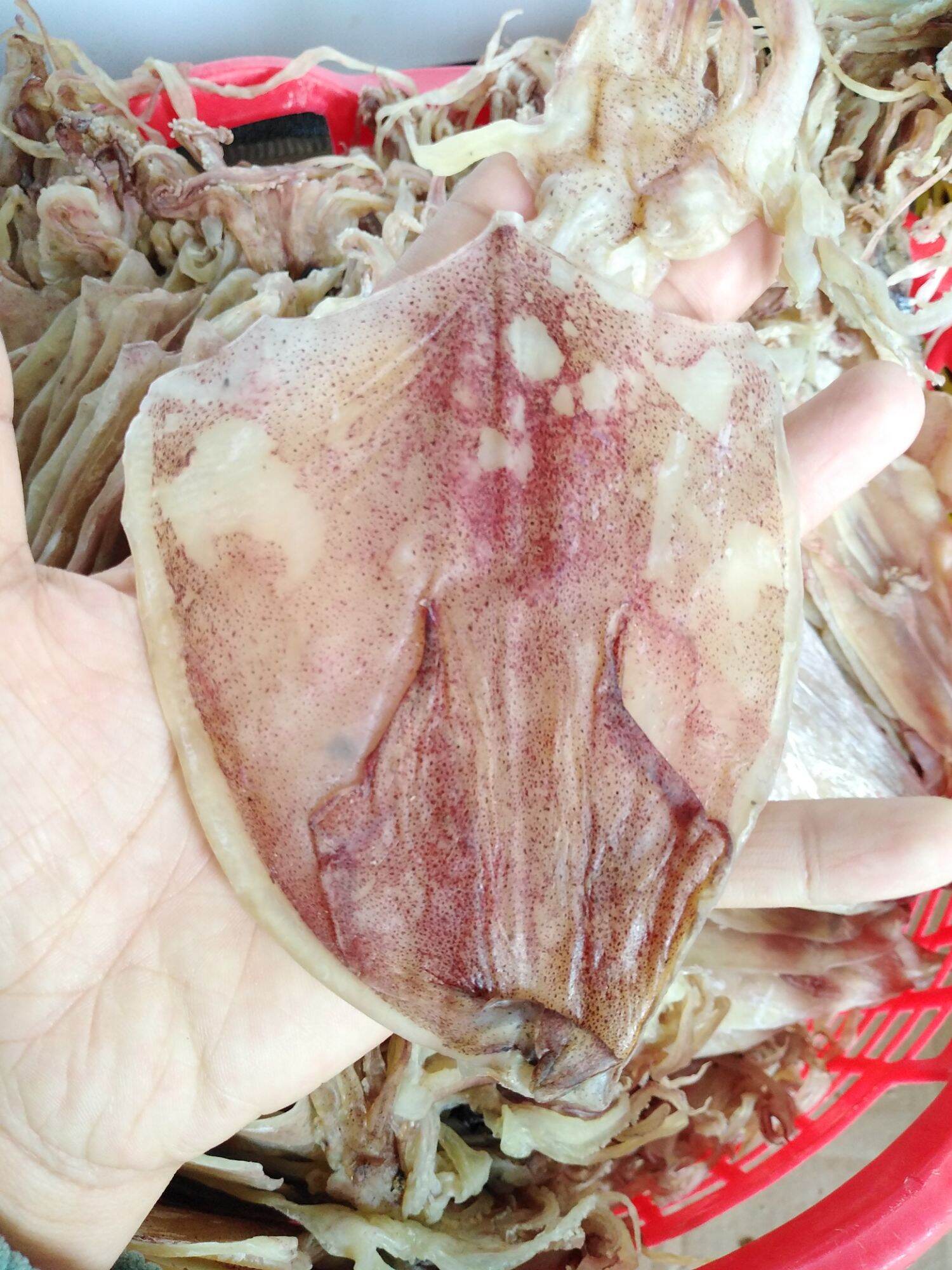 200g khô mực 20_25 con