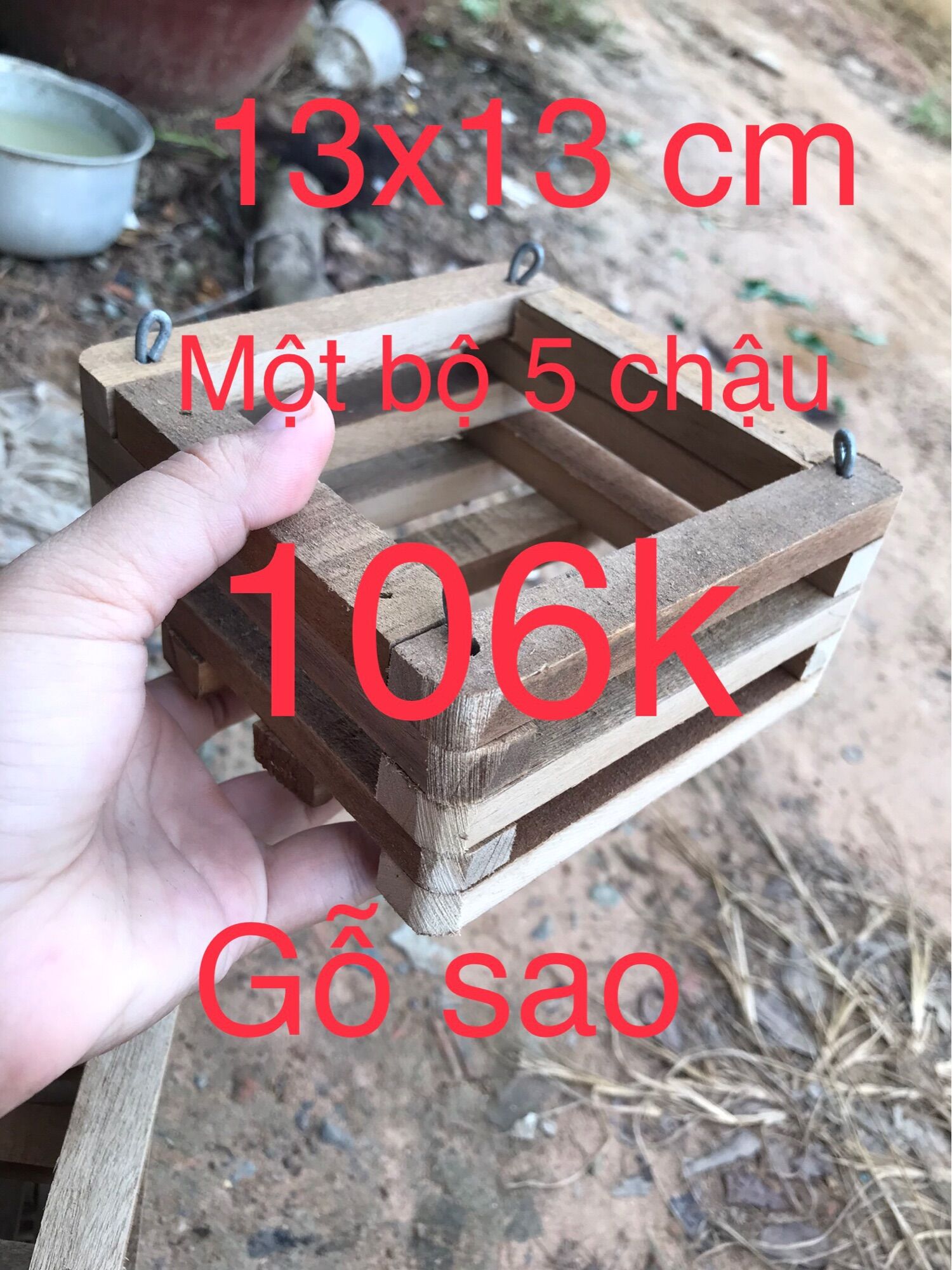 5 Chậu gỗ hình vuông trồng Lan 15x15cm