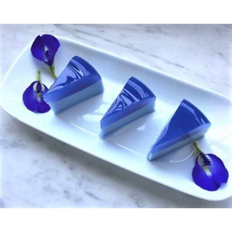 chậu cây hoa đậu biếc đang nhiều bông