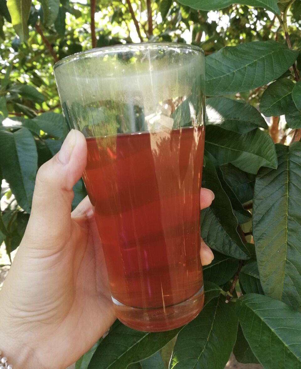 [HCM]Trà gạo lứt đỏ bịch 500gr