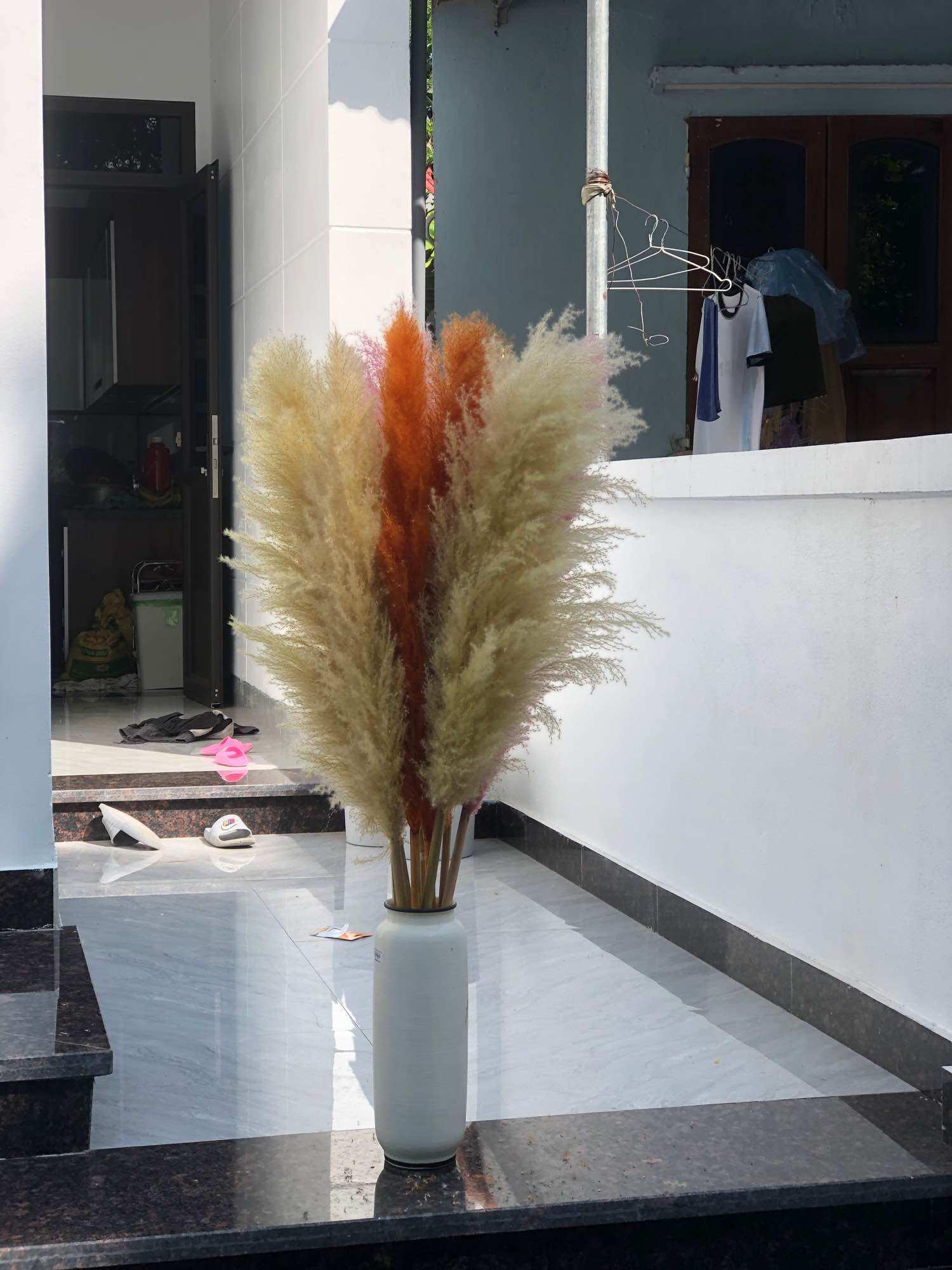 Combo 10 bông lau tự nhiên khô zie to dùng decor trang trí