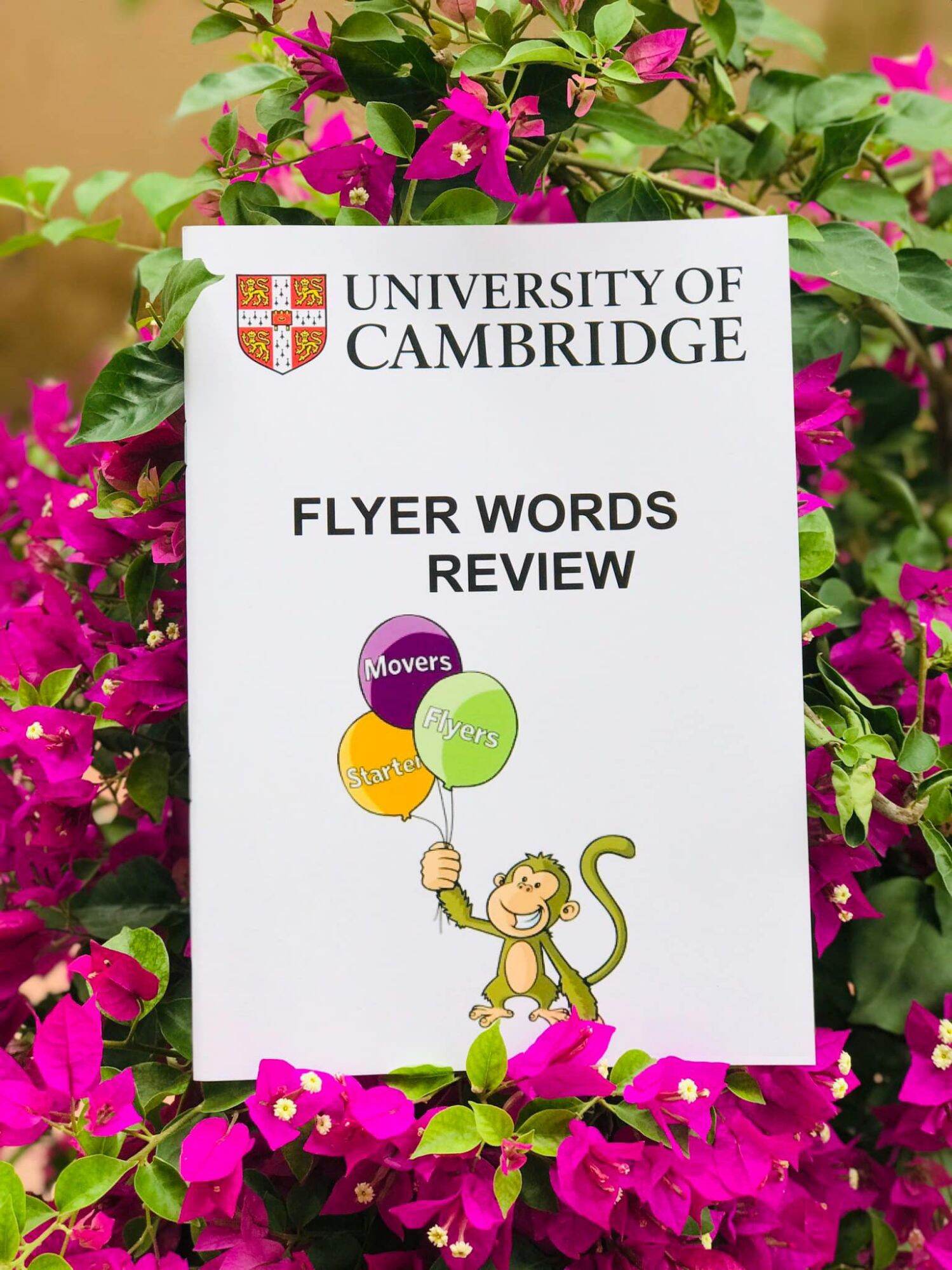 Cambridge English Starters Movers Flyers (Writing)