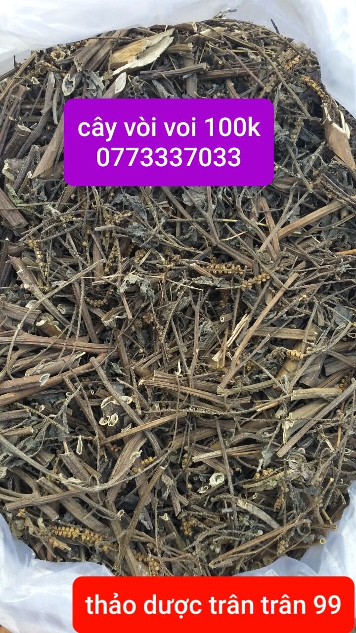 Cây vòi voi phơi khô 1kg