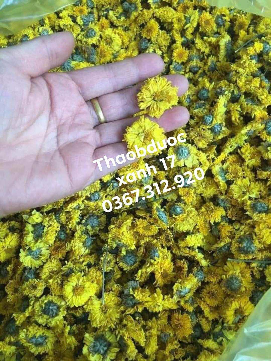 100 gr trà hoa cúc sấy khô nguyên bông tự nhiên
