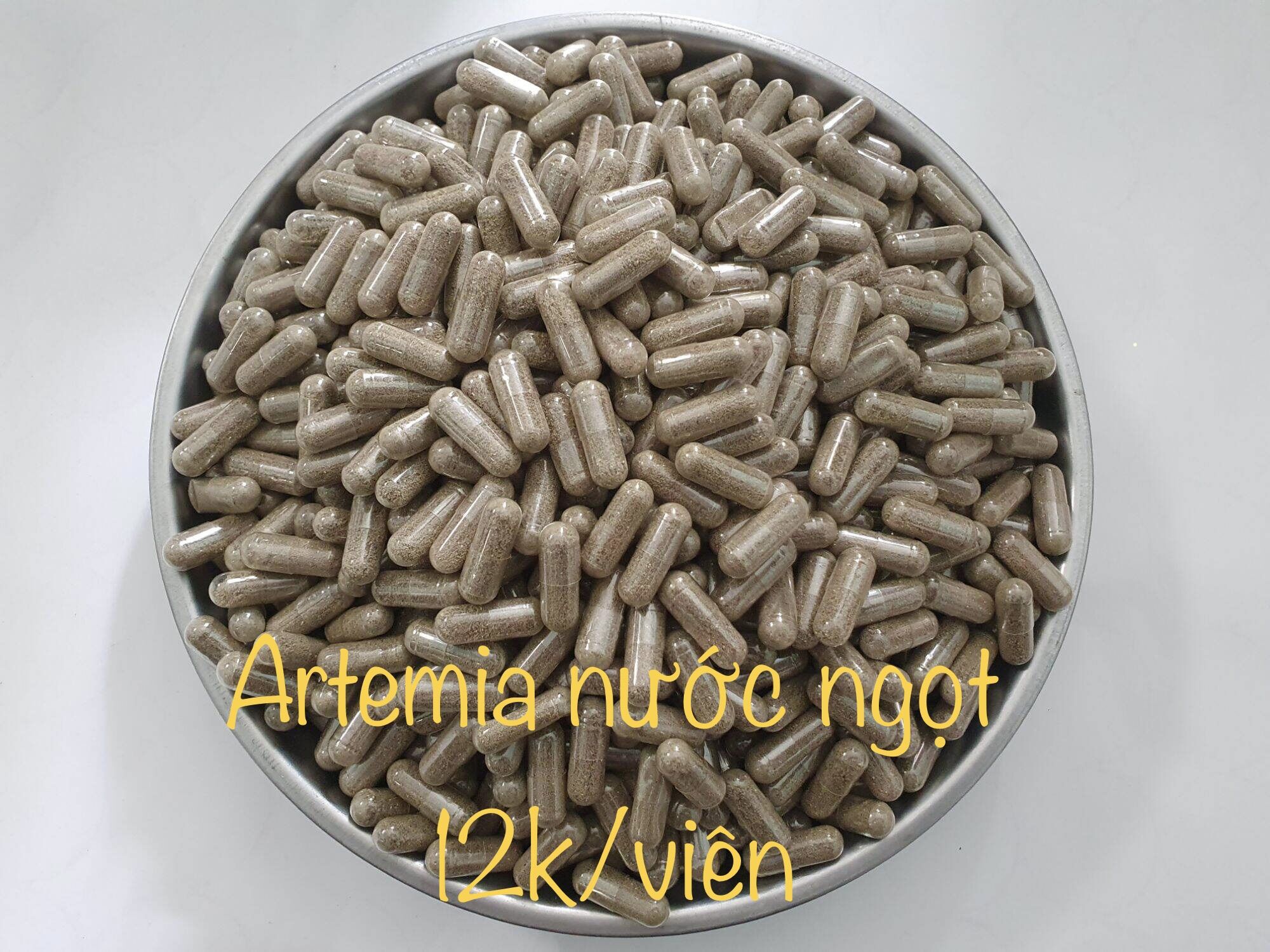 Artemia nước ngọt - Dạng viên nọng - artemia nuôi sinh khối nước ngọt - Guppy Betta Fish Food