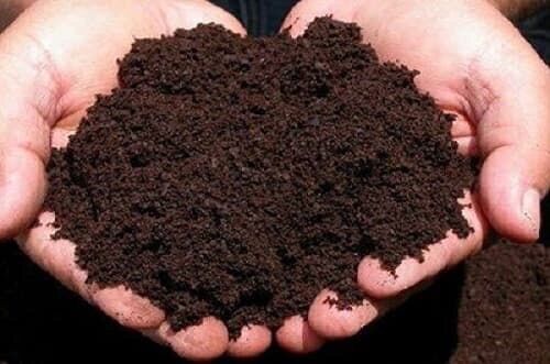 500g phân trùng quế tốt cho cây trồng.