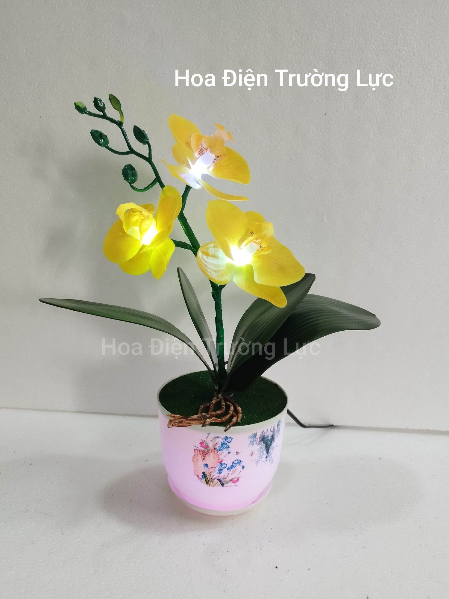 Chậu hoa lan gắn đèn cao 35 cm