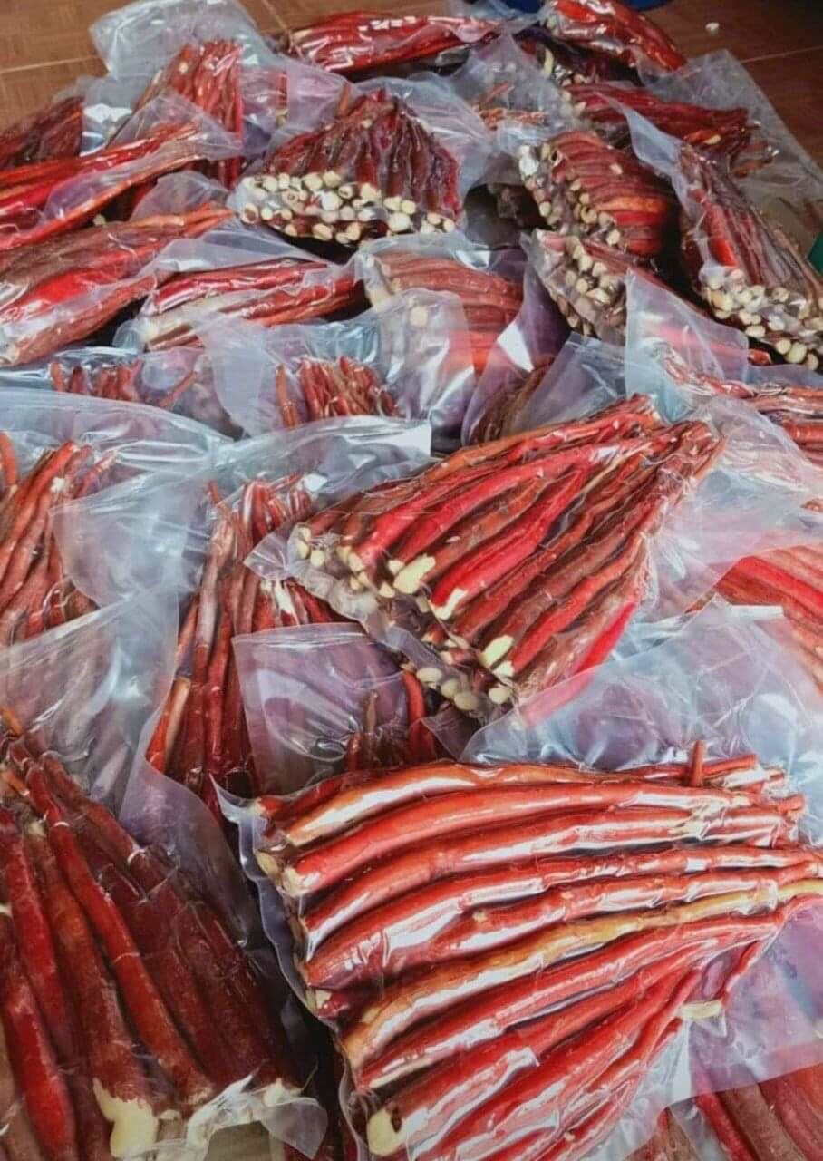 Sâm cau đỏ rừng tây bắc 1kg