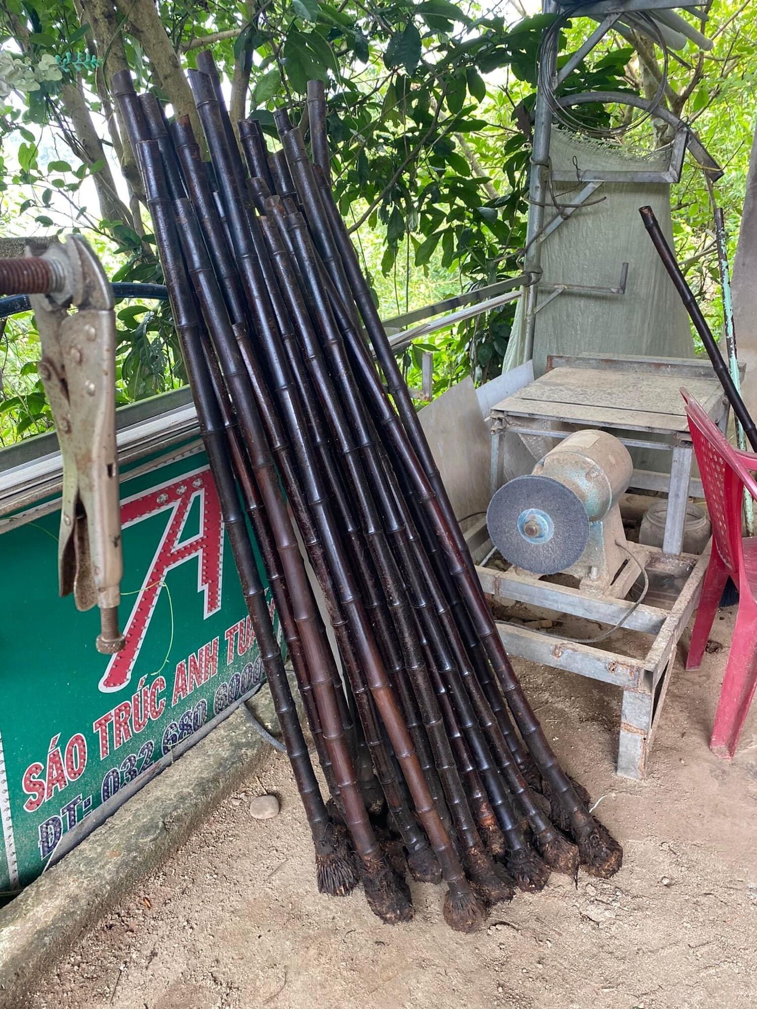 Tiêu trúc HG hun khói