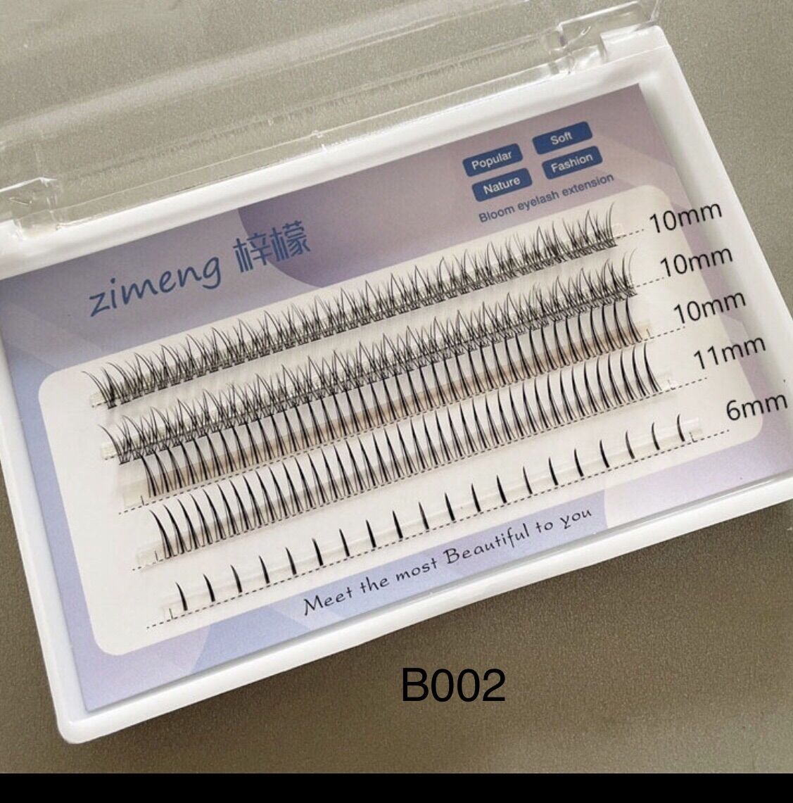 Mi giả rời B002