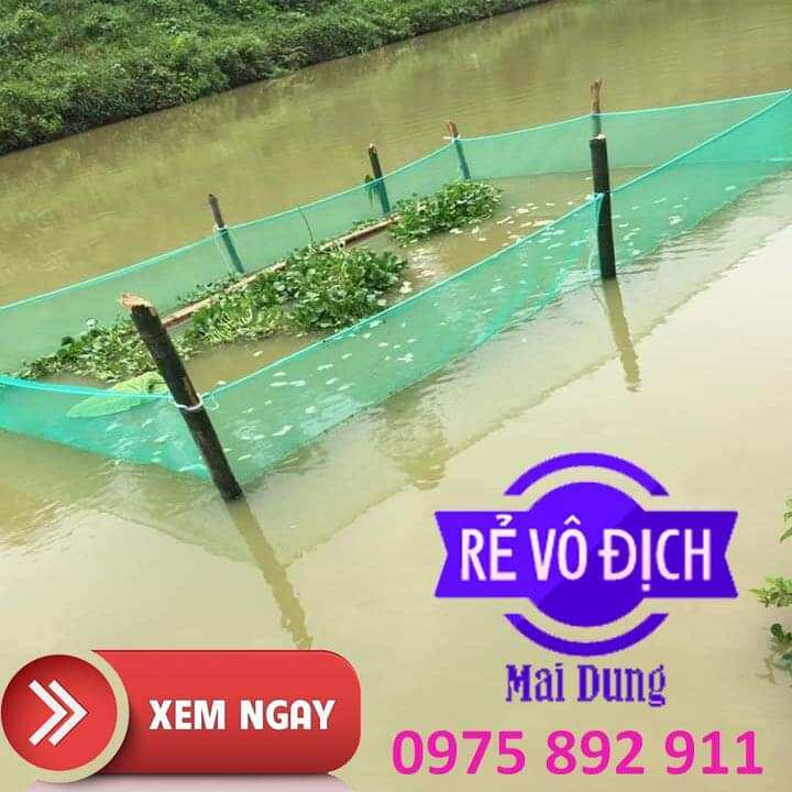 tráng nuôi ốc , cá trê đồng - loại 10m vuông cao 1,3m