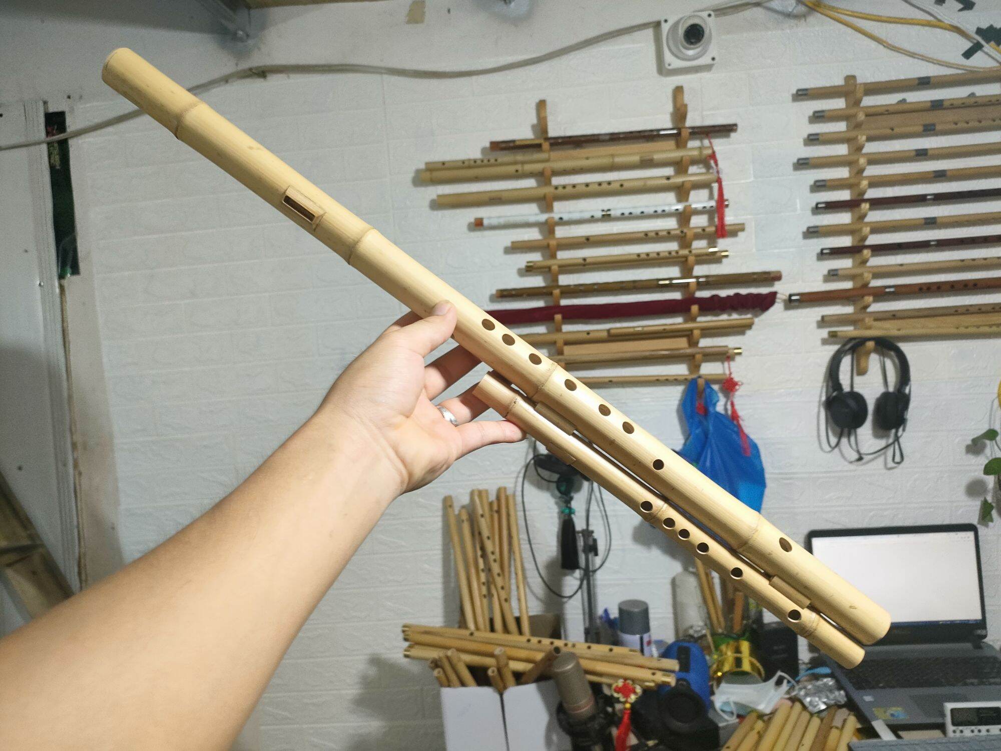Sáo mèo việt