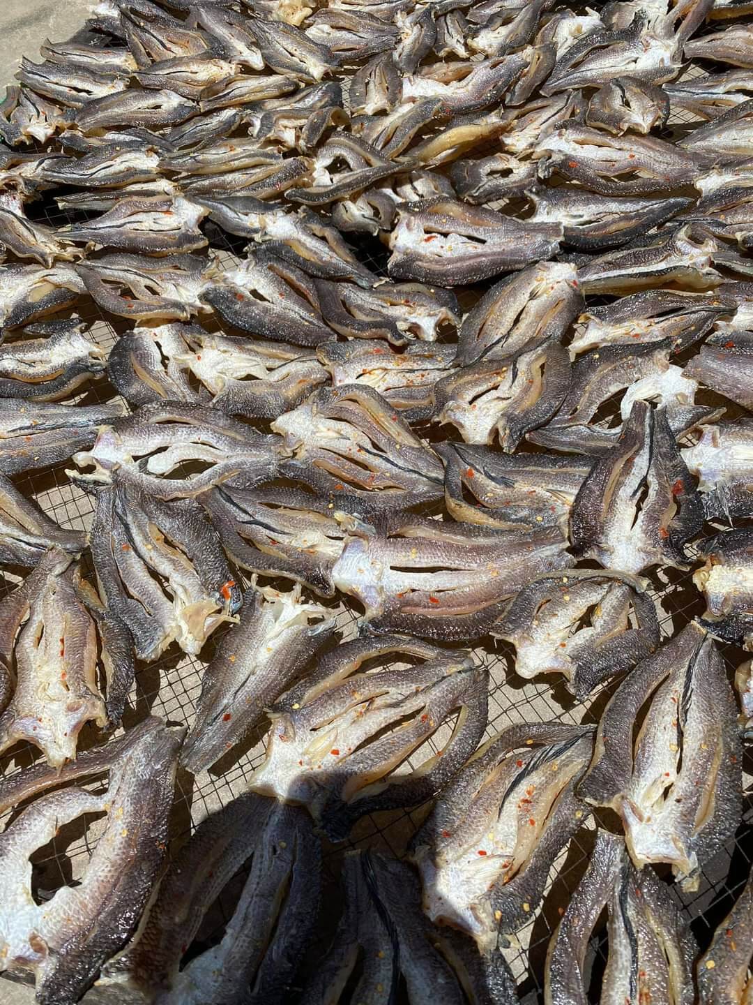 500GR KHÔ LÓC NON PHƠI DẺO