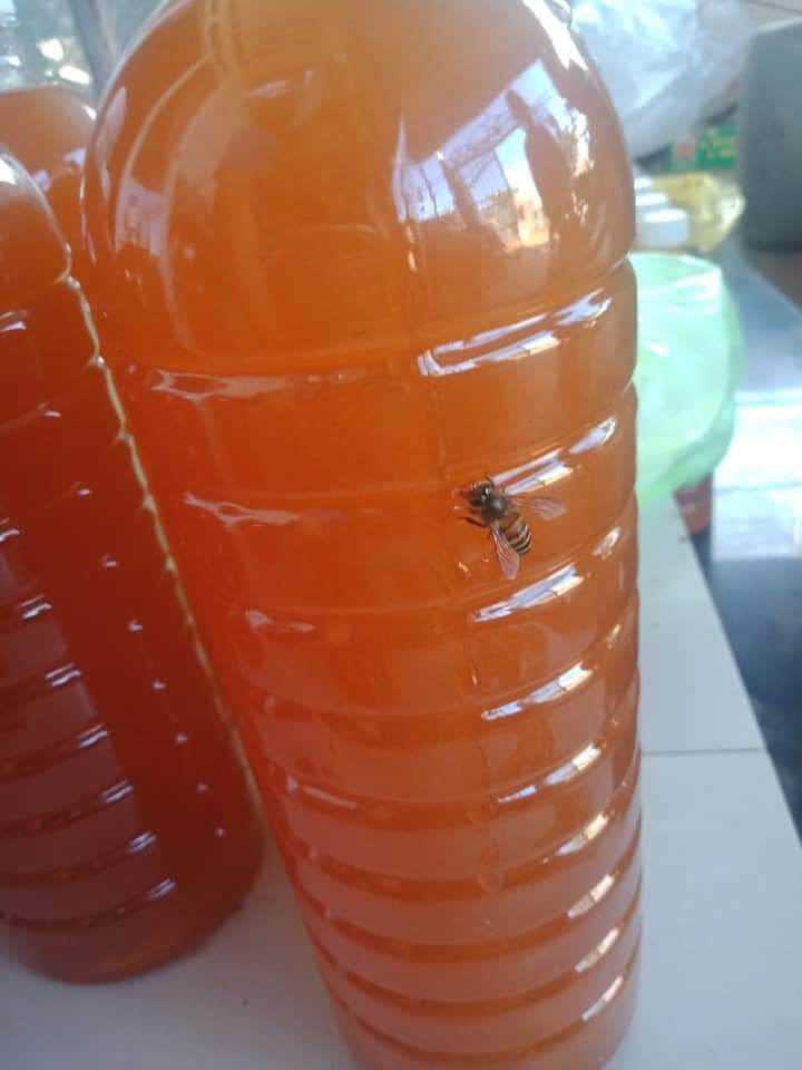 Mật Ong DakLak chai/1lít