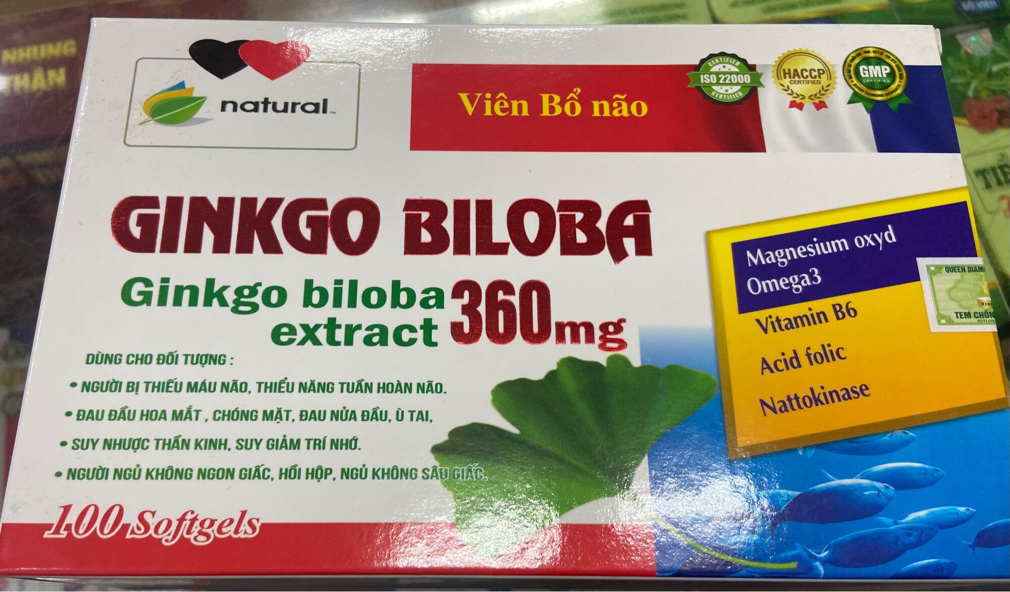 GINKGO BILOBA 360mg Hoạt Huyết Dưỡng Não