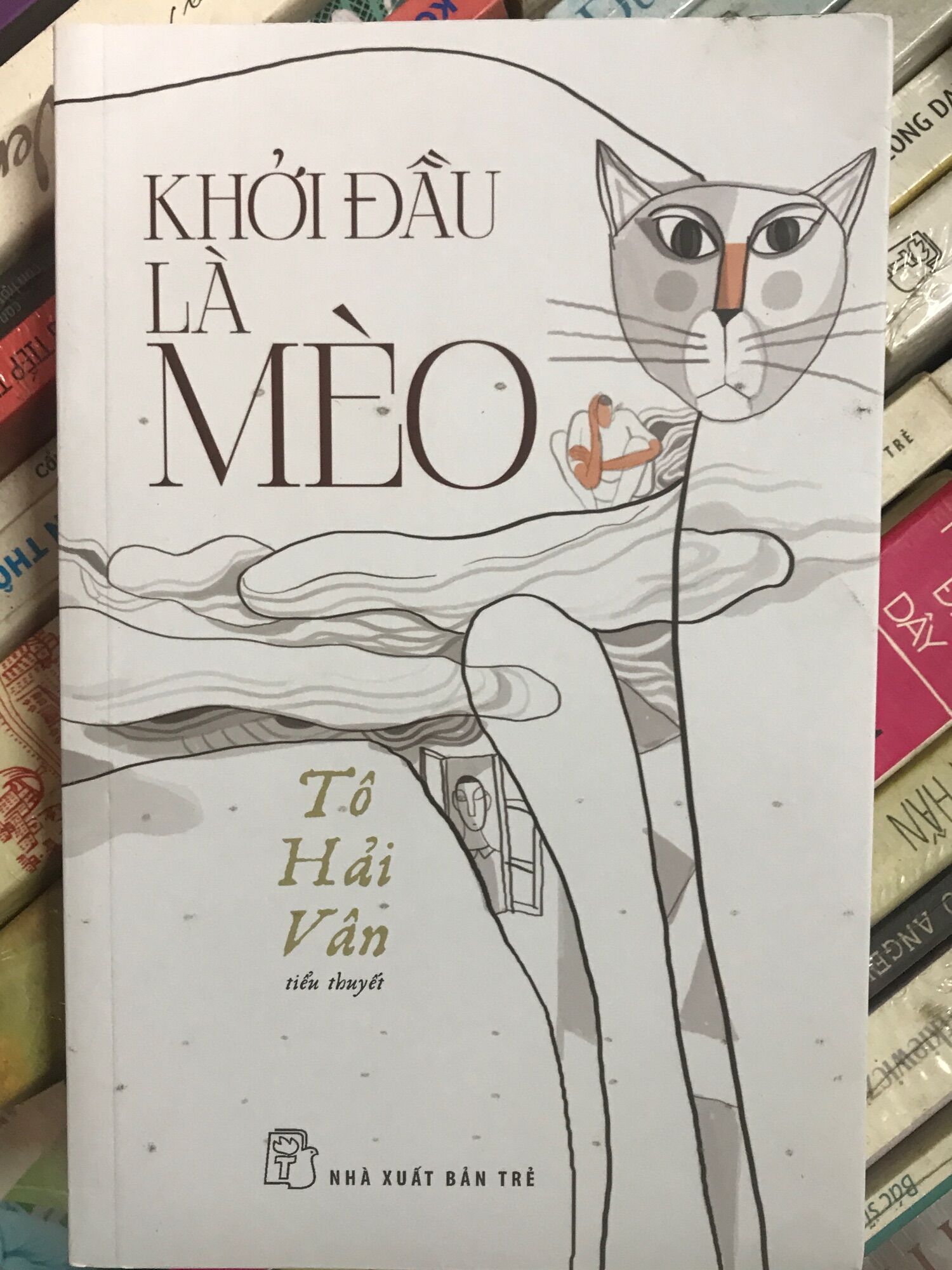 Khởi đầu là mèo