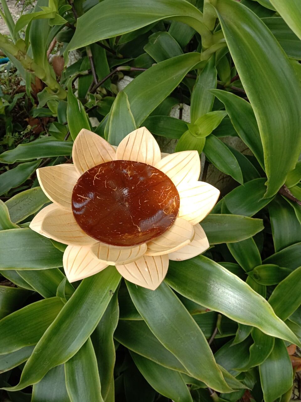 Dĩa sen làm từ ráo dừa