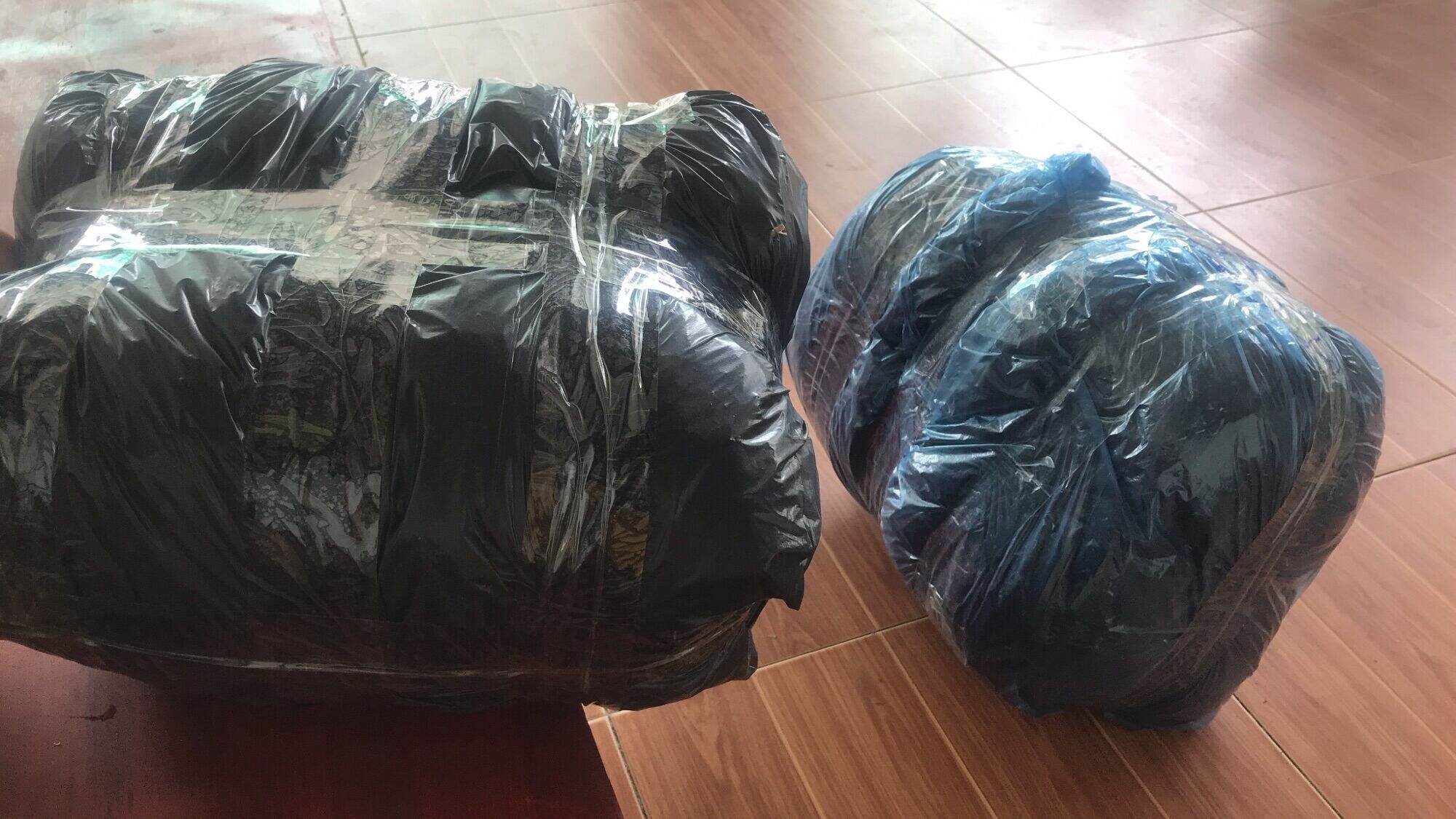 Cây chút chít khô và tươi( 1kg)