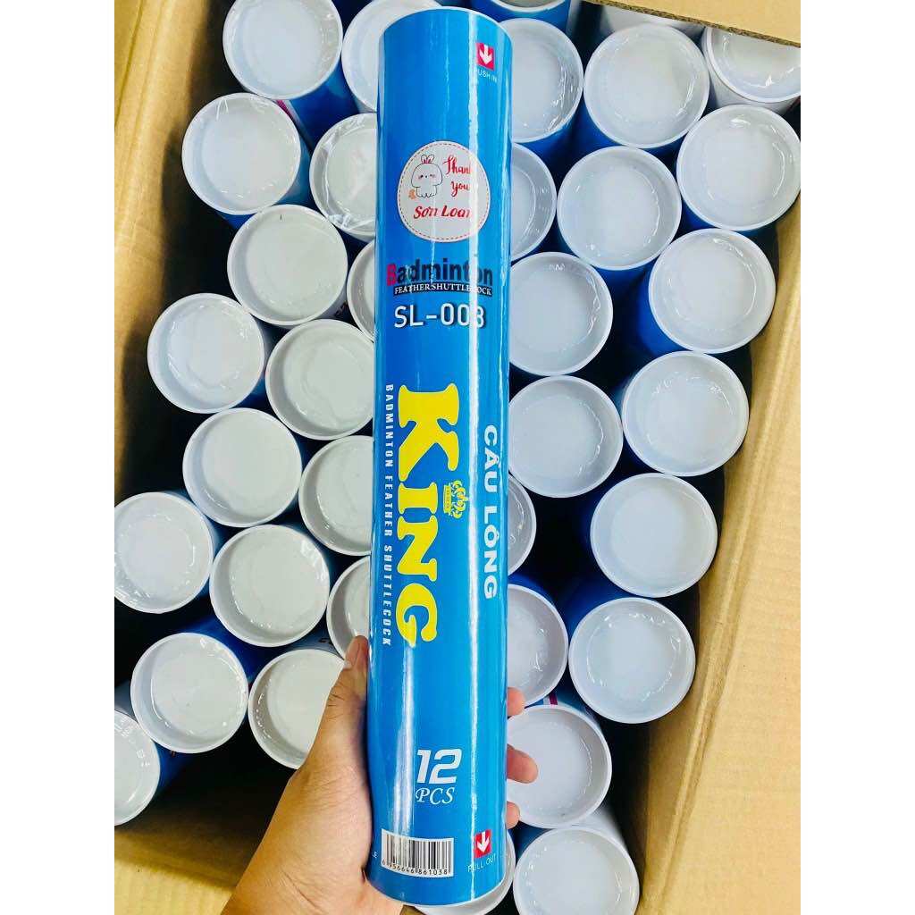 Set 2 quả cầu lông đánh vợt
