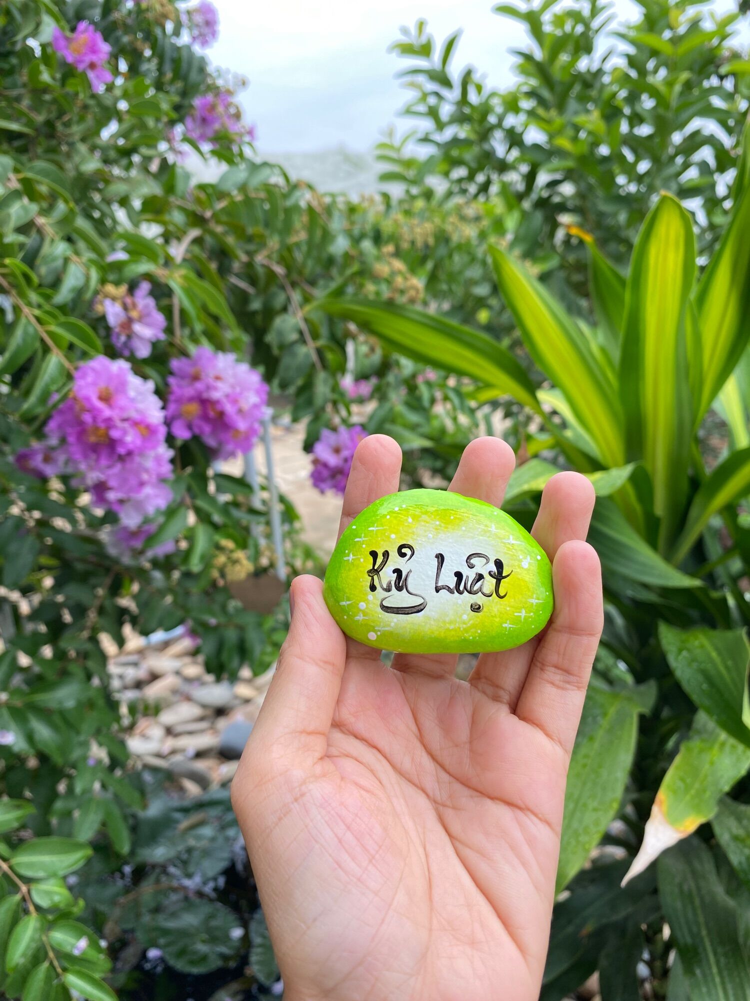 Hòn đá biết ơn 5 chữ khác nhau