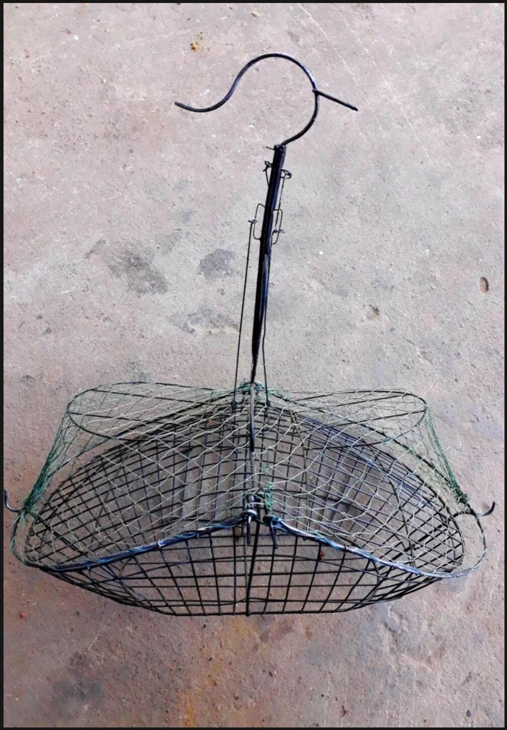 Bẫy chim chào mào kèm cóng ăn uống