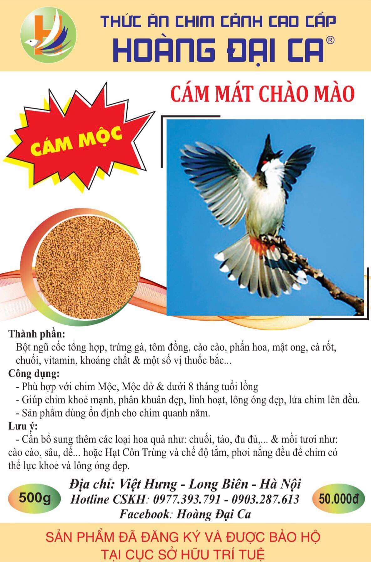 Cám chào mào mộc hoàng đại ca