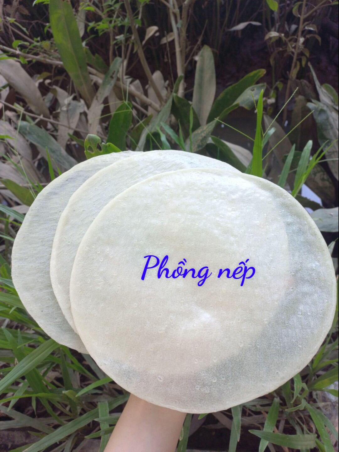 10 Bánh Phồng Nếp Ngọt ( Đặc Sản BẾN TRE)