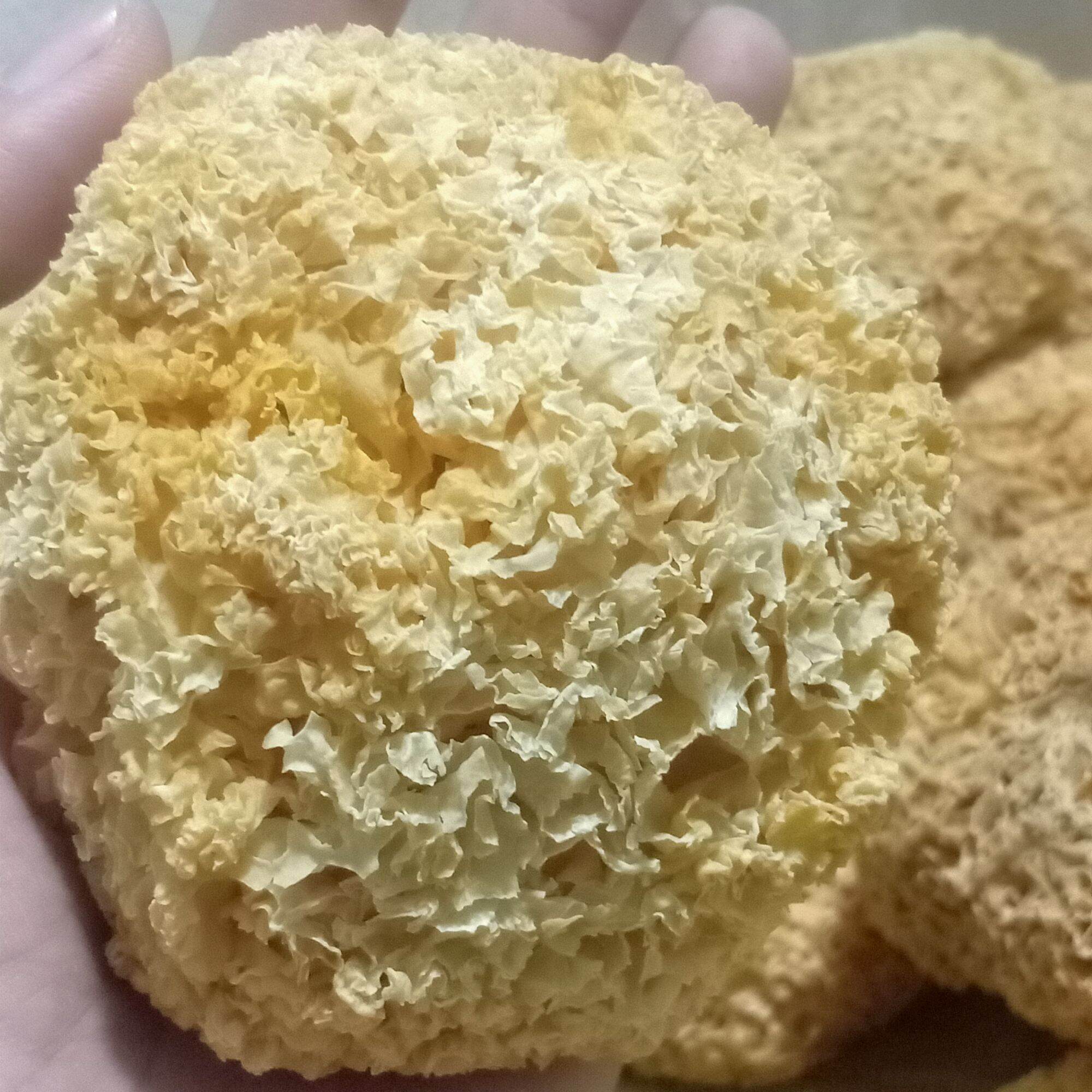 Nấm tuyết vàng không tẩy (chia nhỏ 10g)