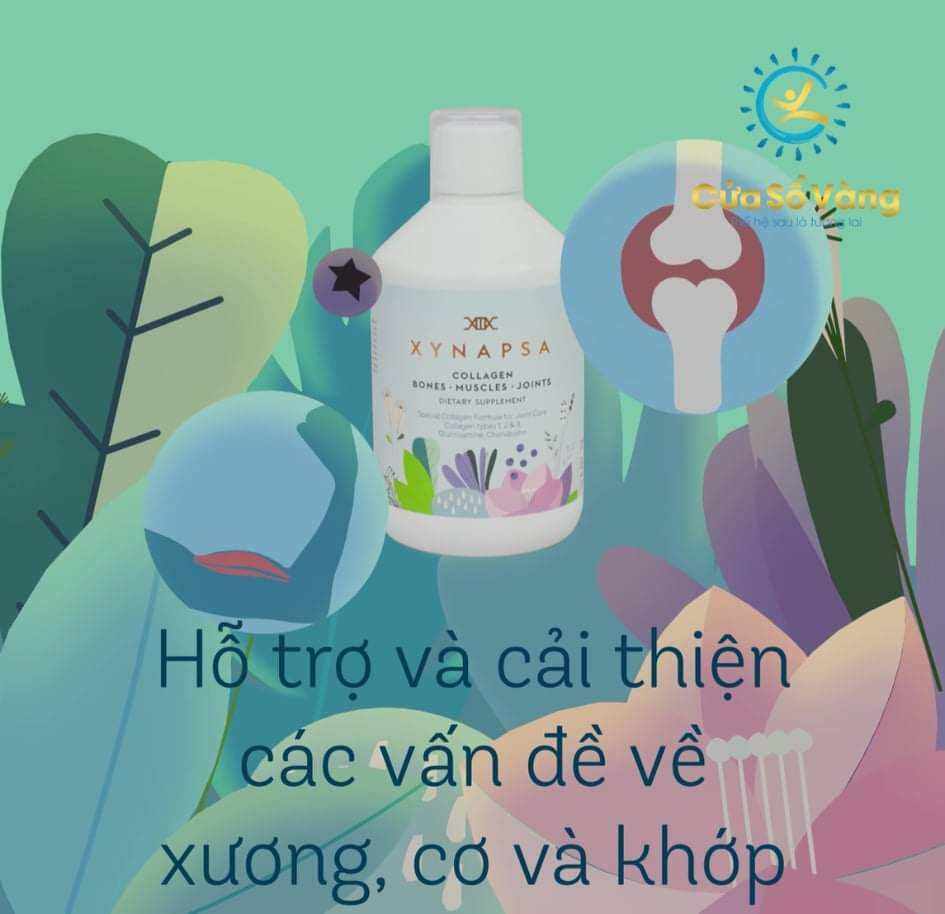 Bộ tứ thụy điển xynapsa chai xương khớp cải thiện vấn đề xương khớp