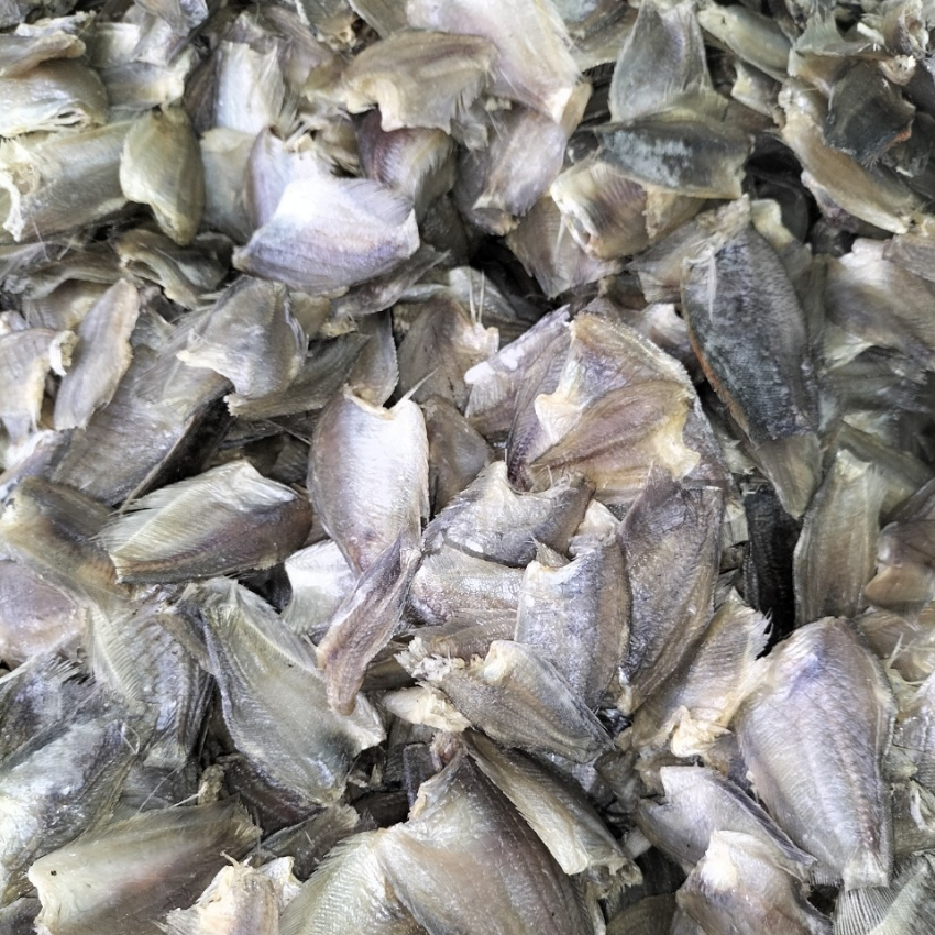 Khô cá sặc đồng, khô cá sặc bướm, khô cá sặc miền tây 3 nắng, thịt thơm ngon dễ bảo quản - Shop 2 hậu