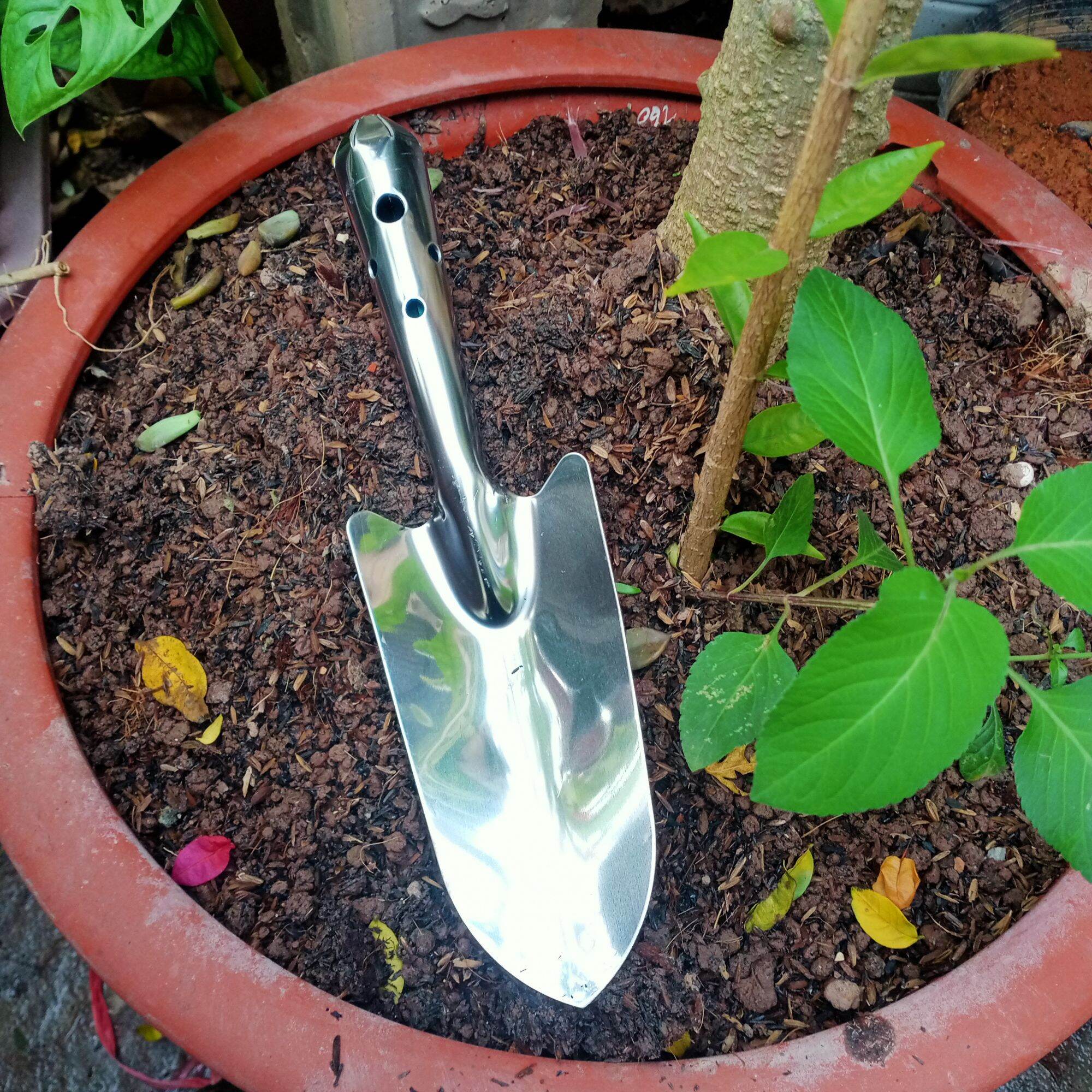 Shovel stainless steel plant growing