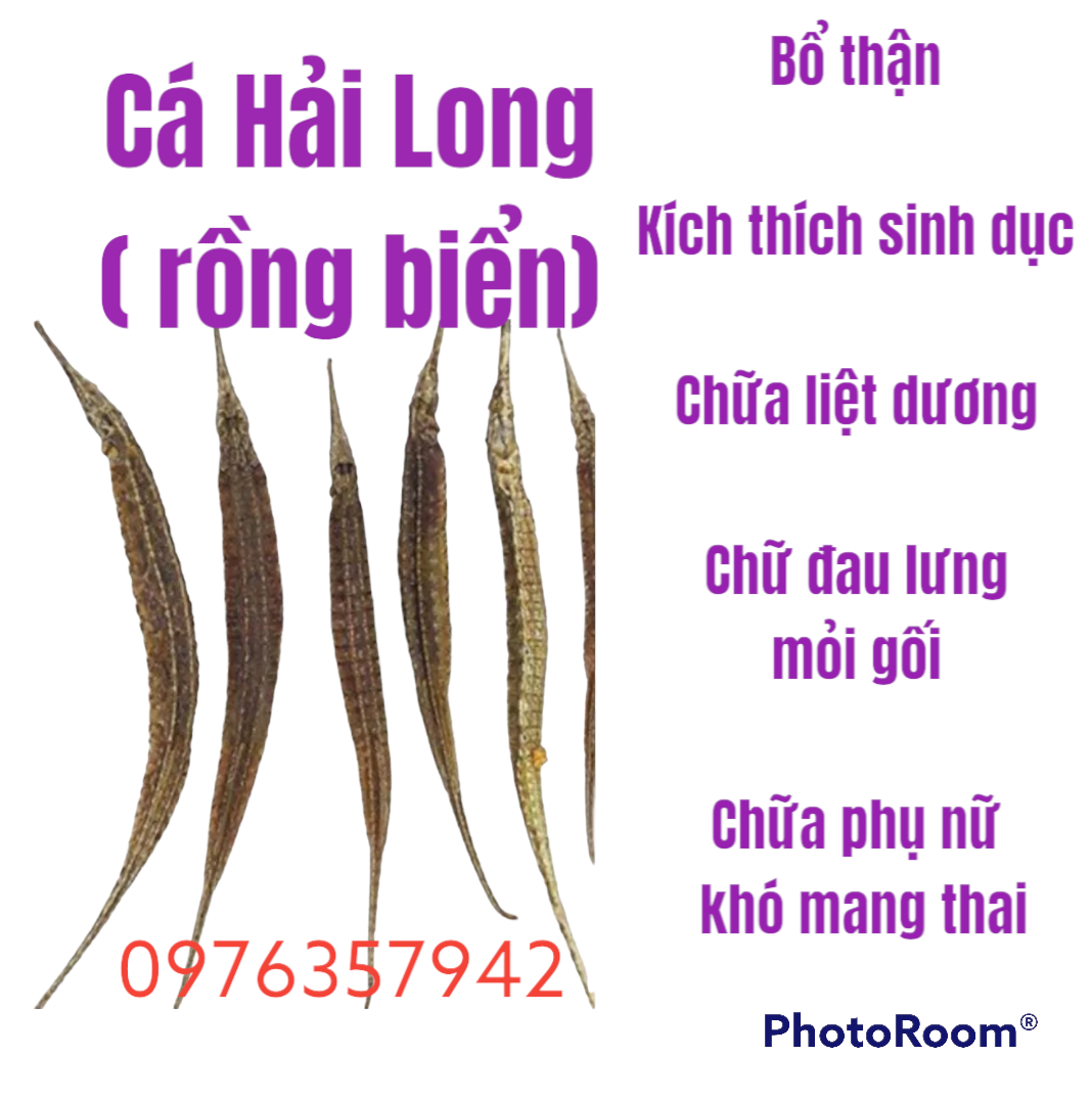 10 con cá Hai Long, cá chìa vôi khô ngam ruou bo than trang duong