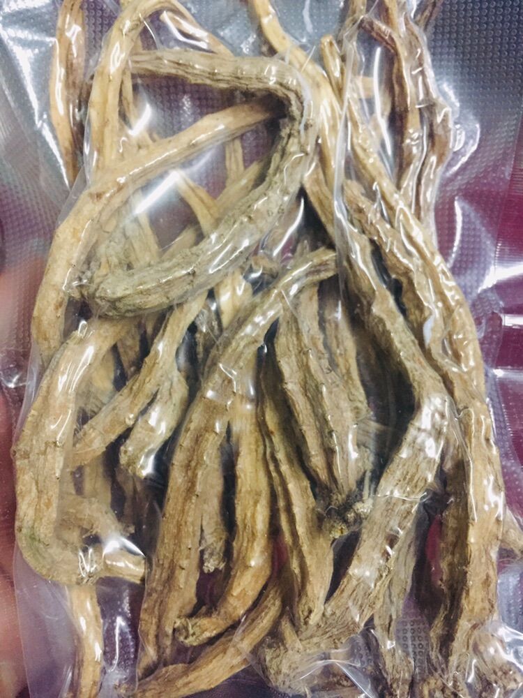 Đẳng sâm - loại trung , Sâm dây Ngọc Linh, Sâm rừng Thuần Việt