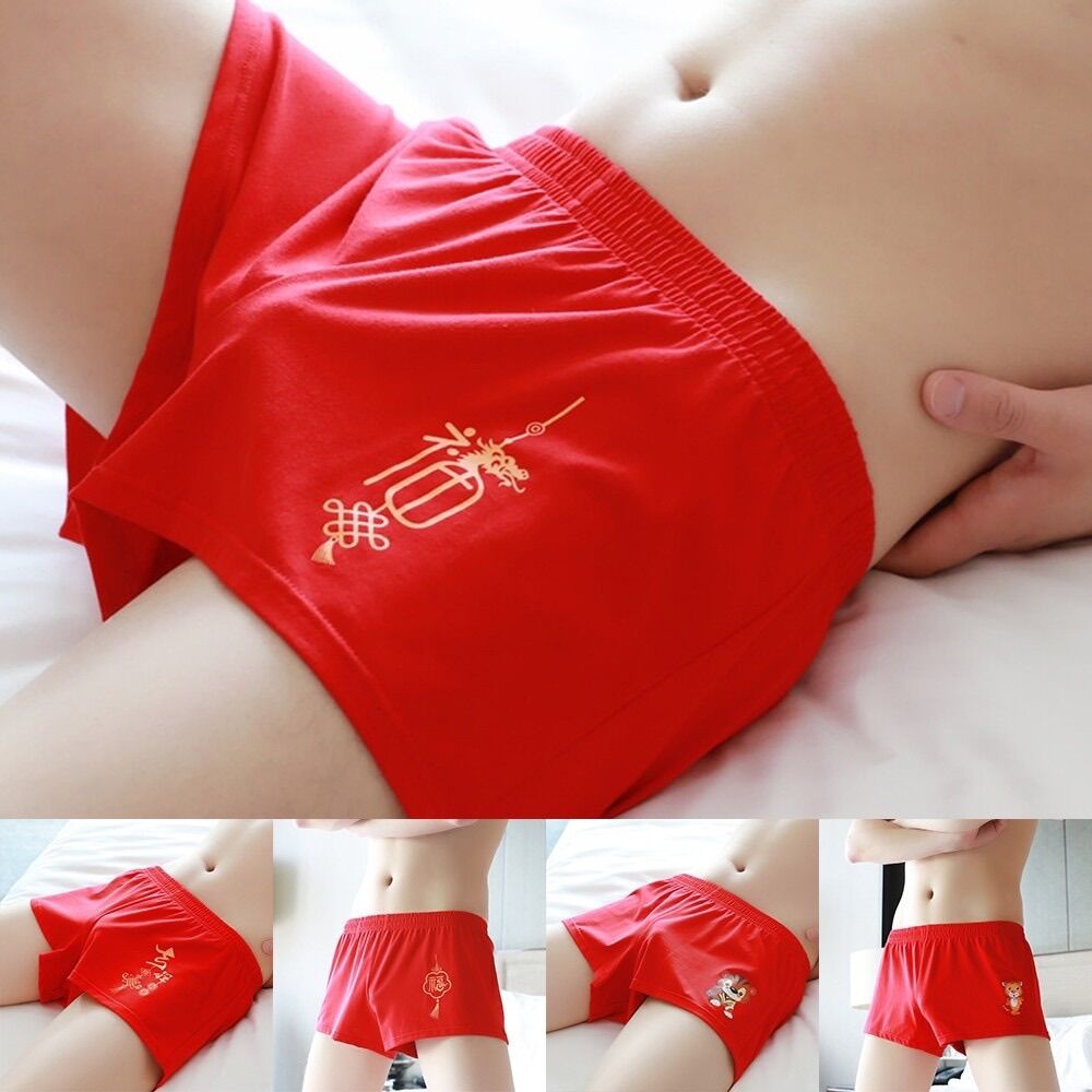 Quần đùi nam thun cotton size L-XL