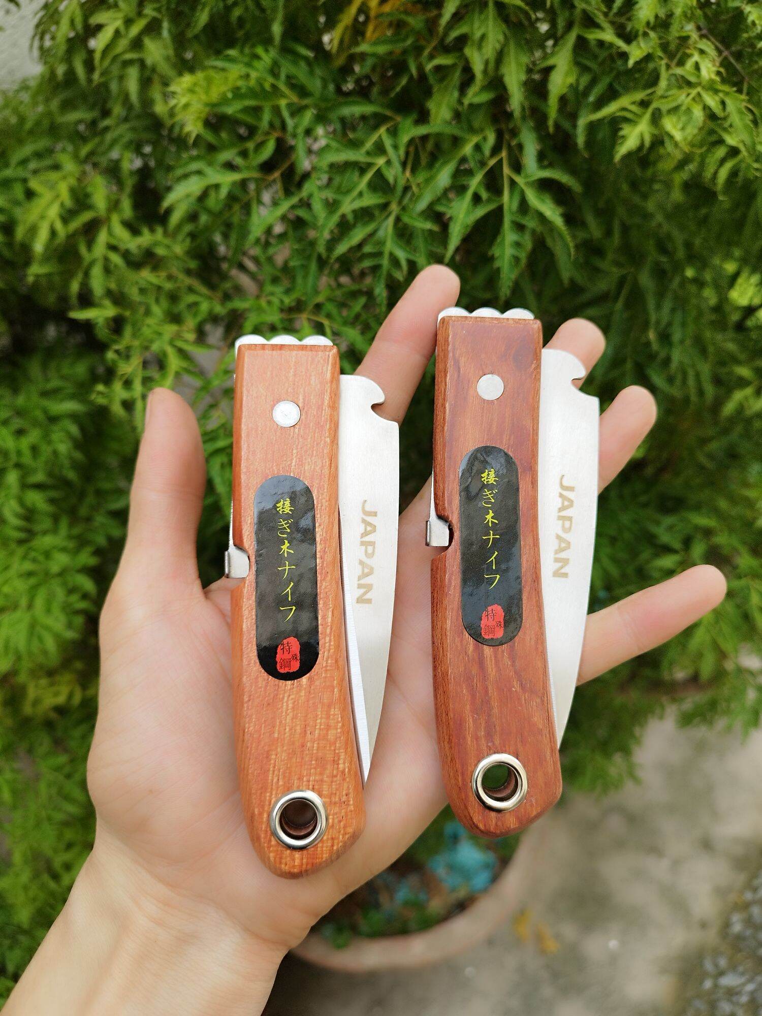 Dao nhật cắt ghép cành cây