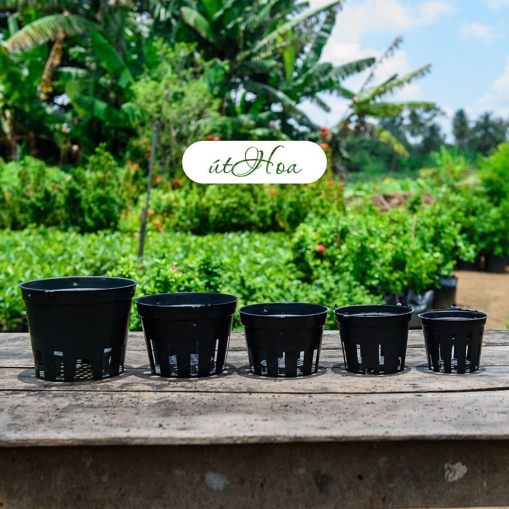 Combo 50 Chậu Trồng Lan Đen Đk 12Cm/14Cm/16Cm