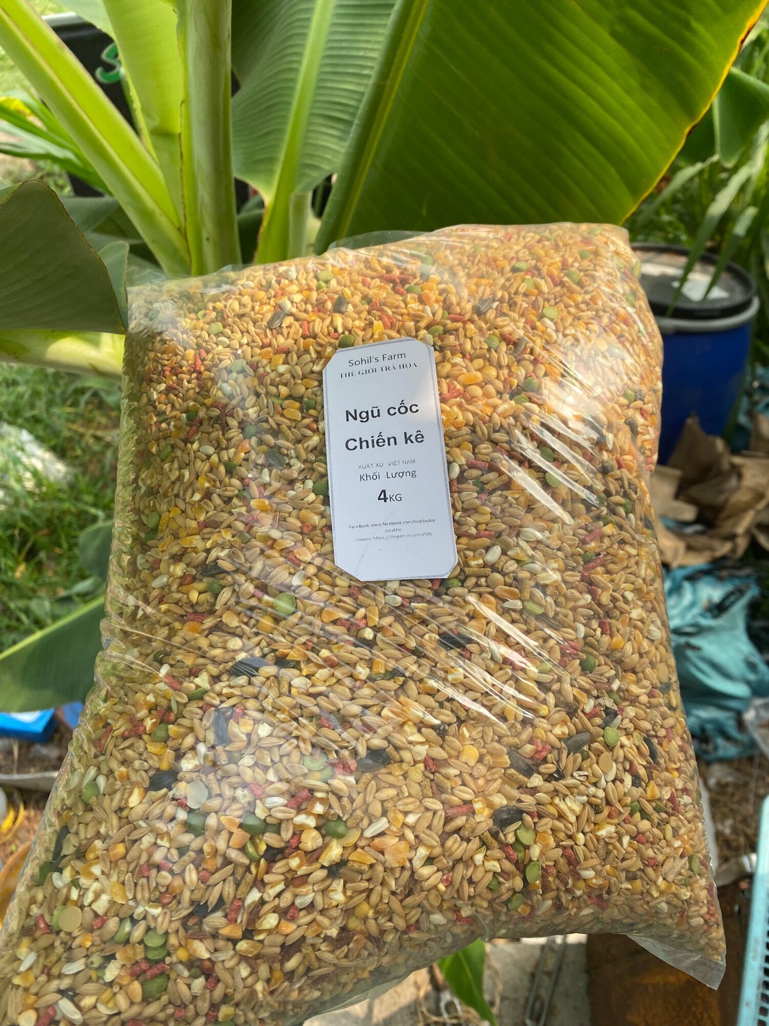 500g Ngũ cốc cho chim vẹt, gà đá…