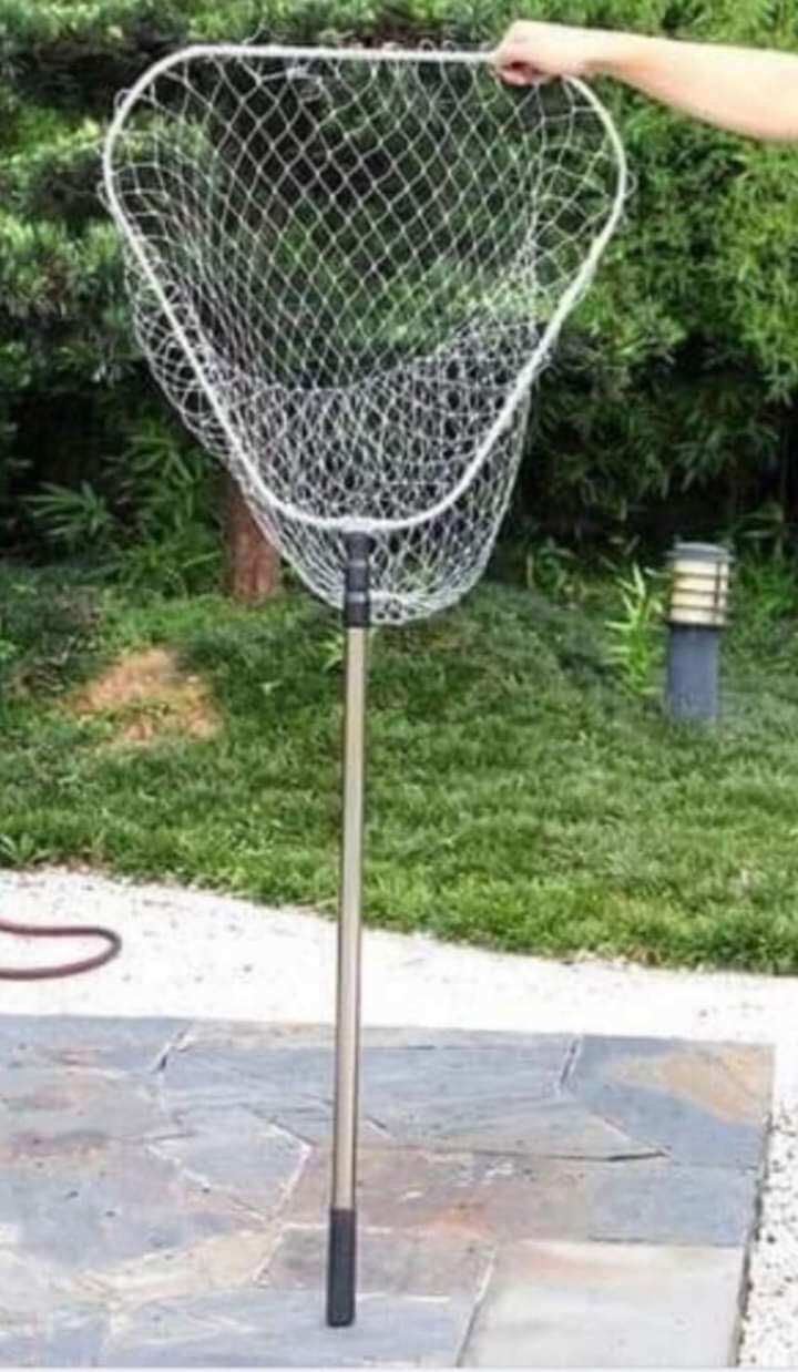 vợt cá câu cá 3 m