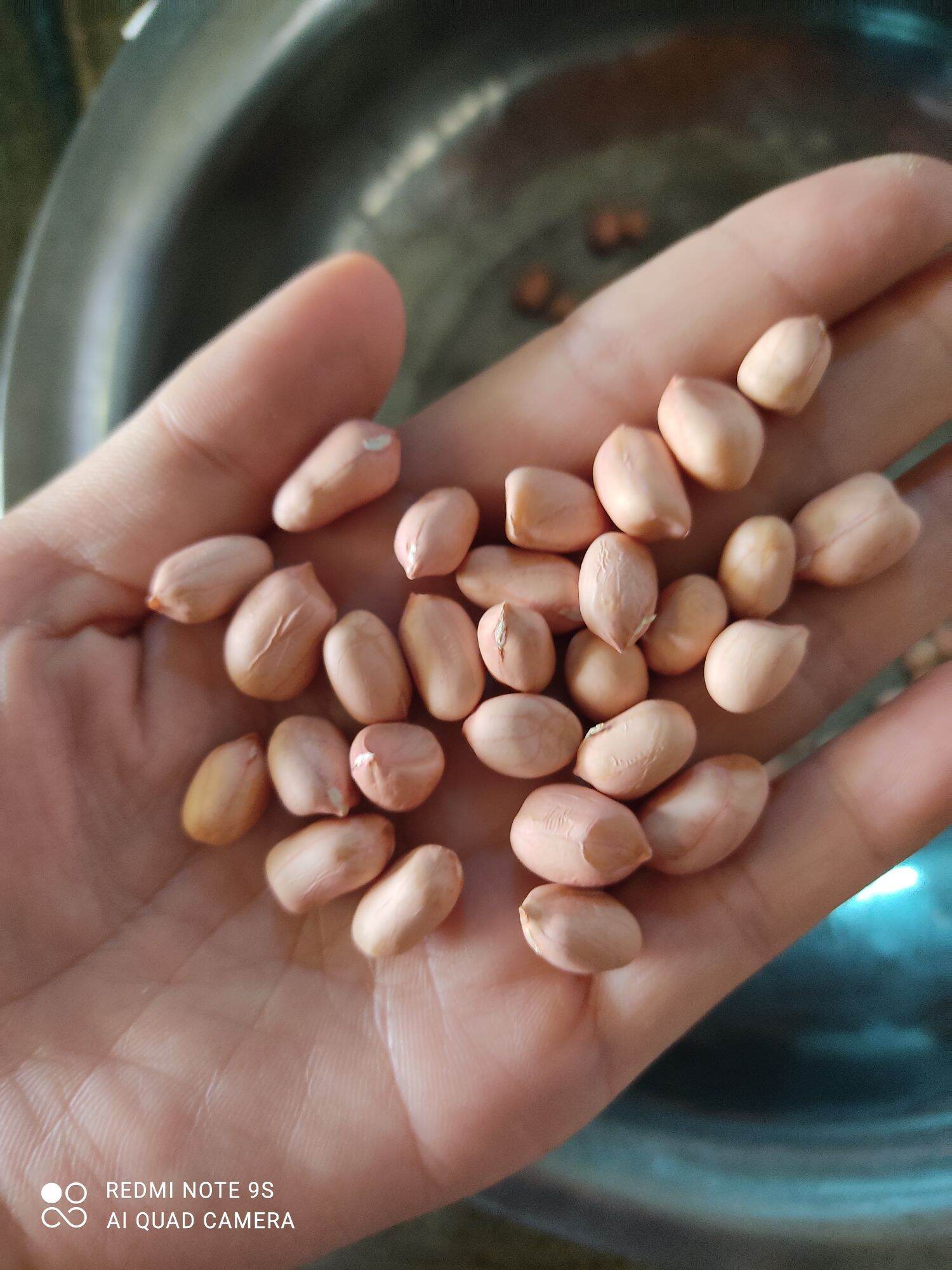 lạc nhân bóc tay/ lạc ré ta 1kg