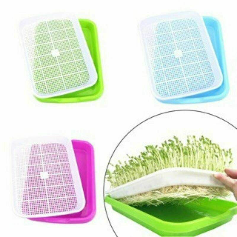 Set 5 khay nhựa trồng rau mầm thủy canh