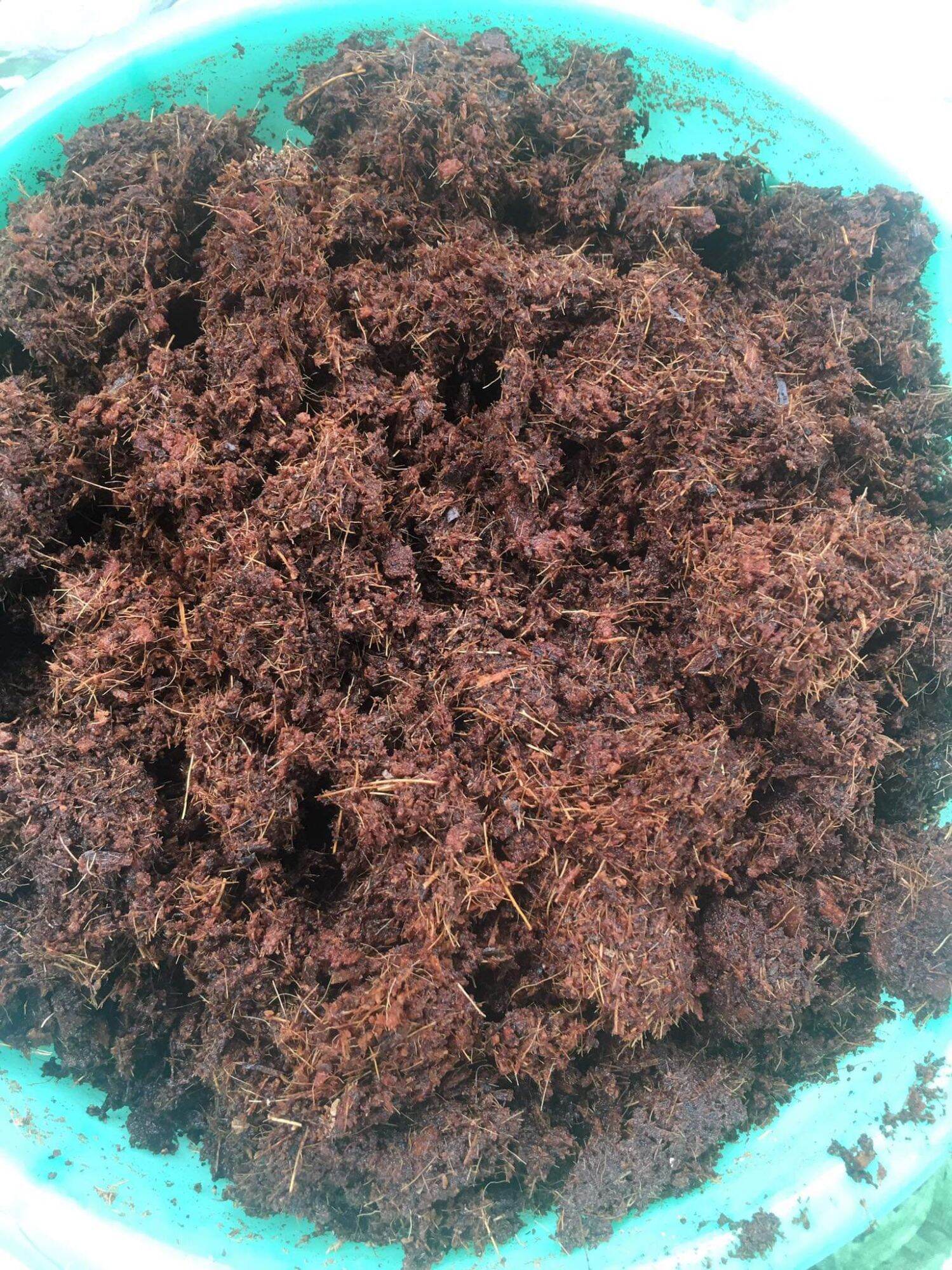 Viên nén xơ dừa