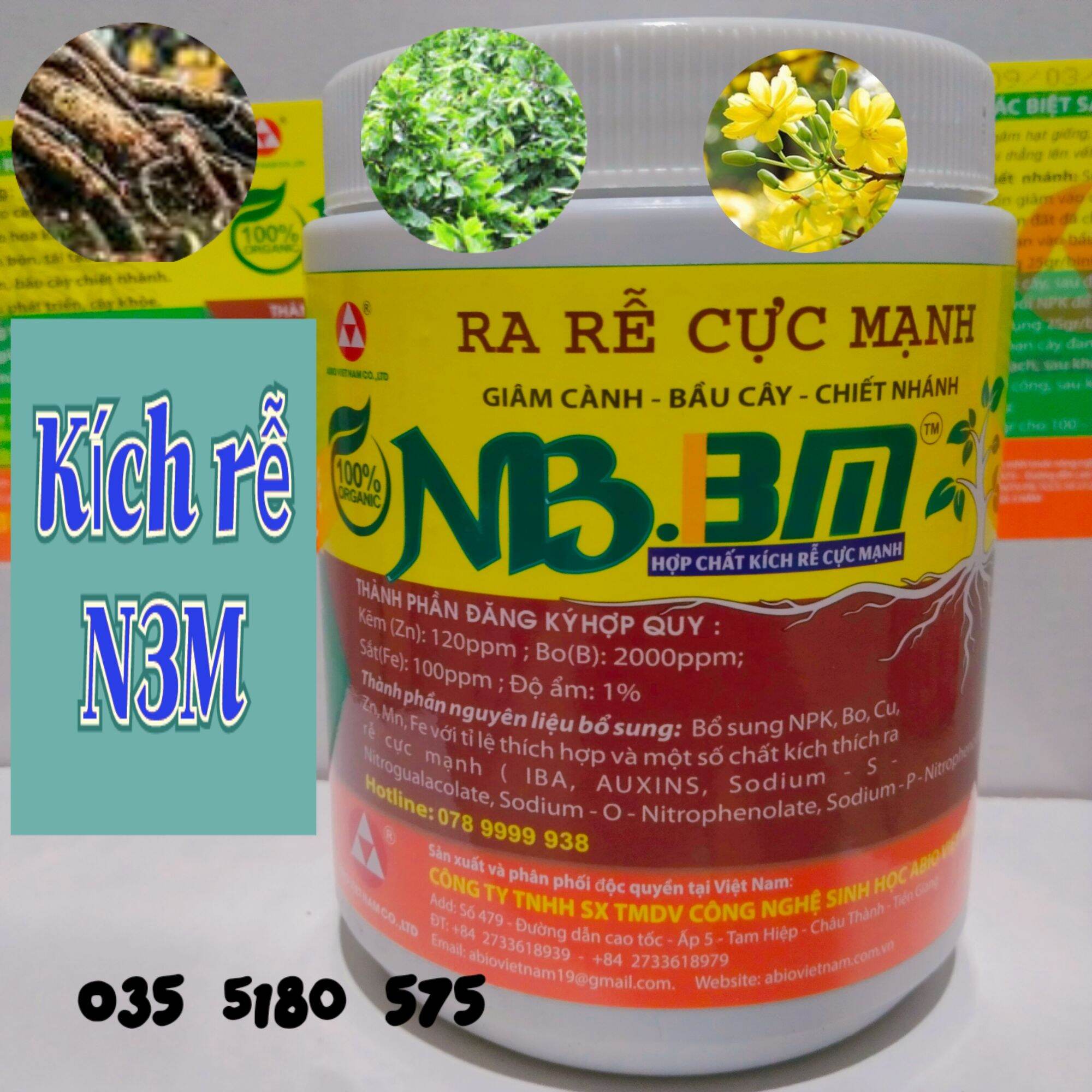 Kích rễ N3M trên mai vàng