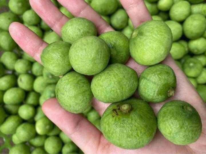 2kg Sấu tươi cà vỏ