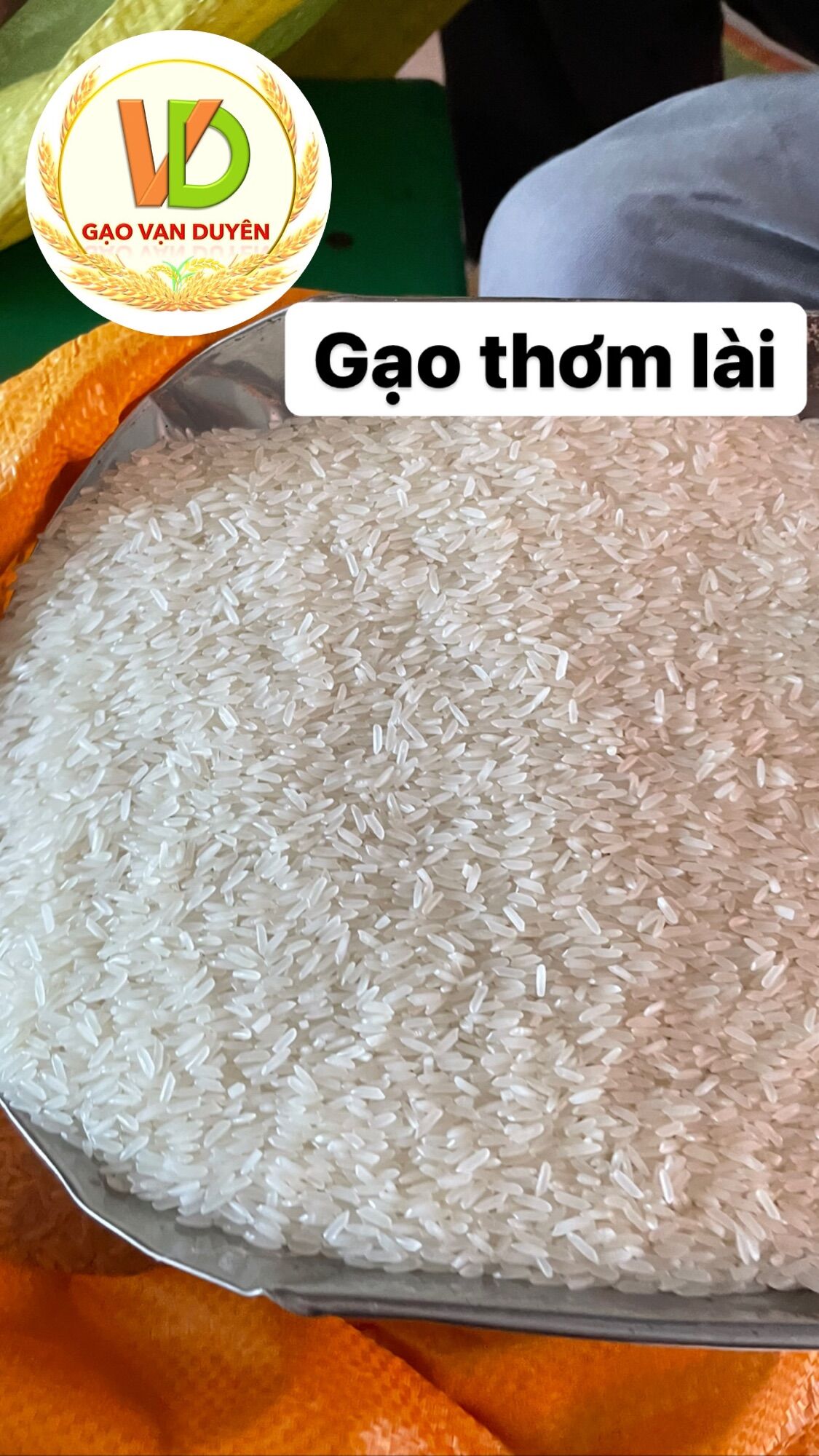 Gạo thơm lài túi 10kg