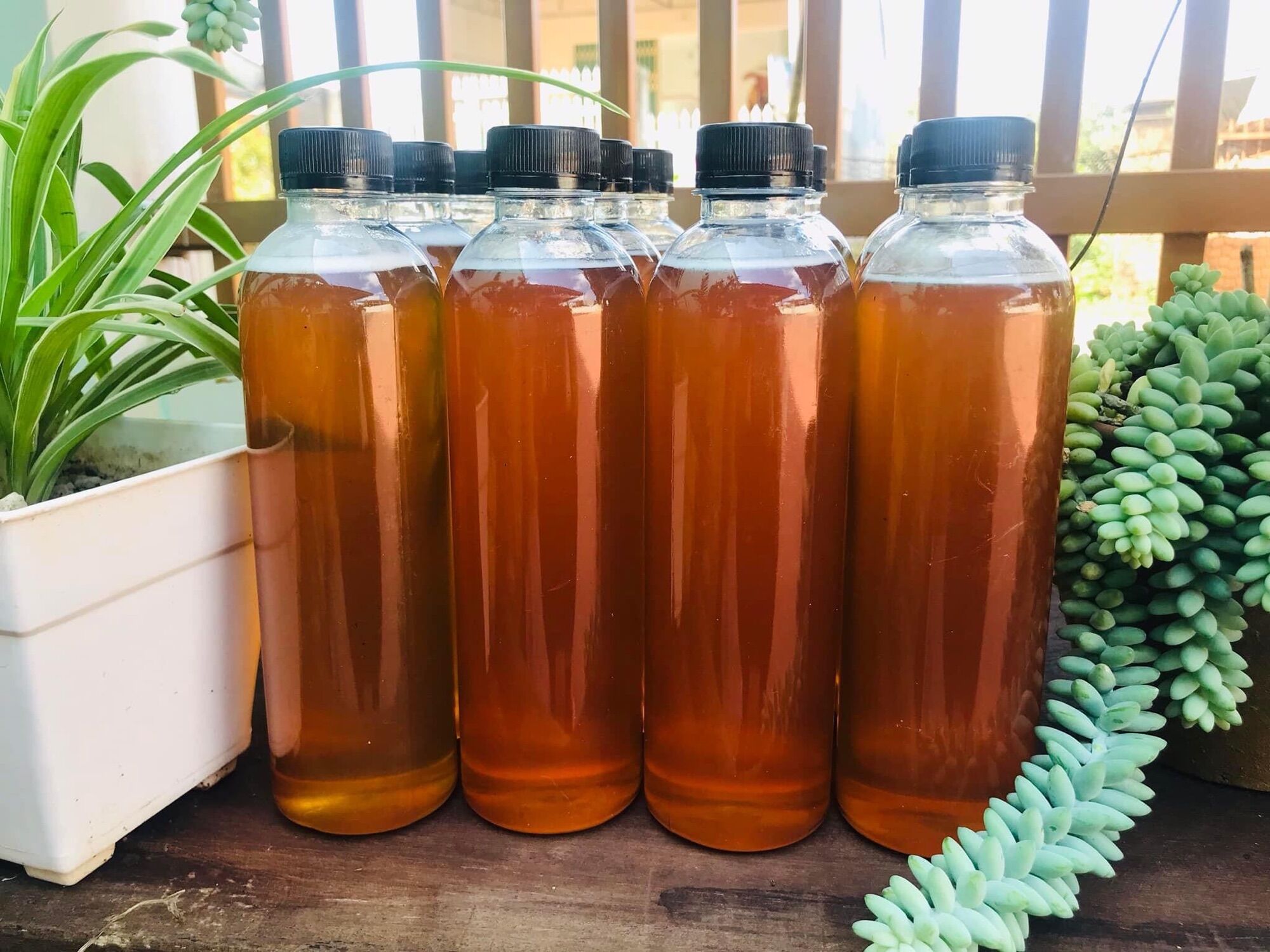 Mật ong hoa cà phê chai 500ml tiện dụng